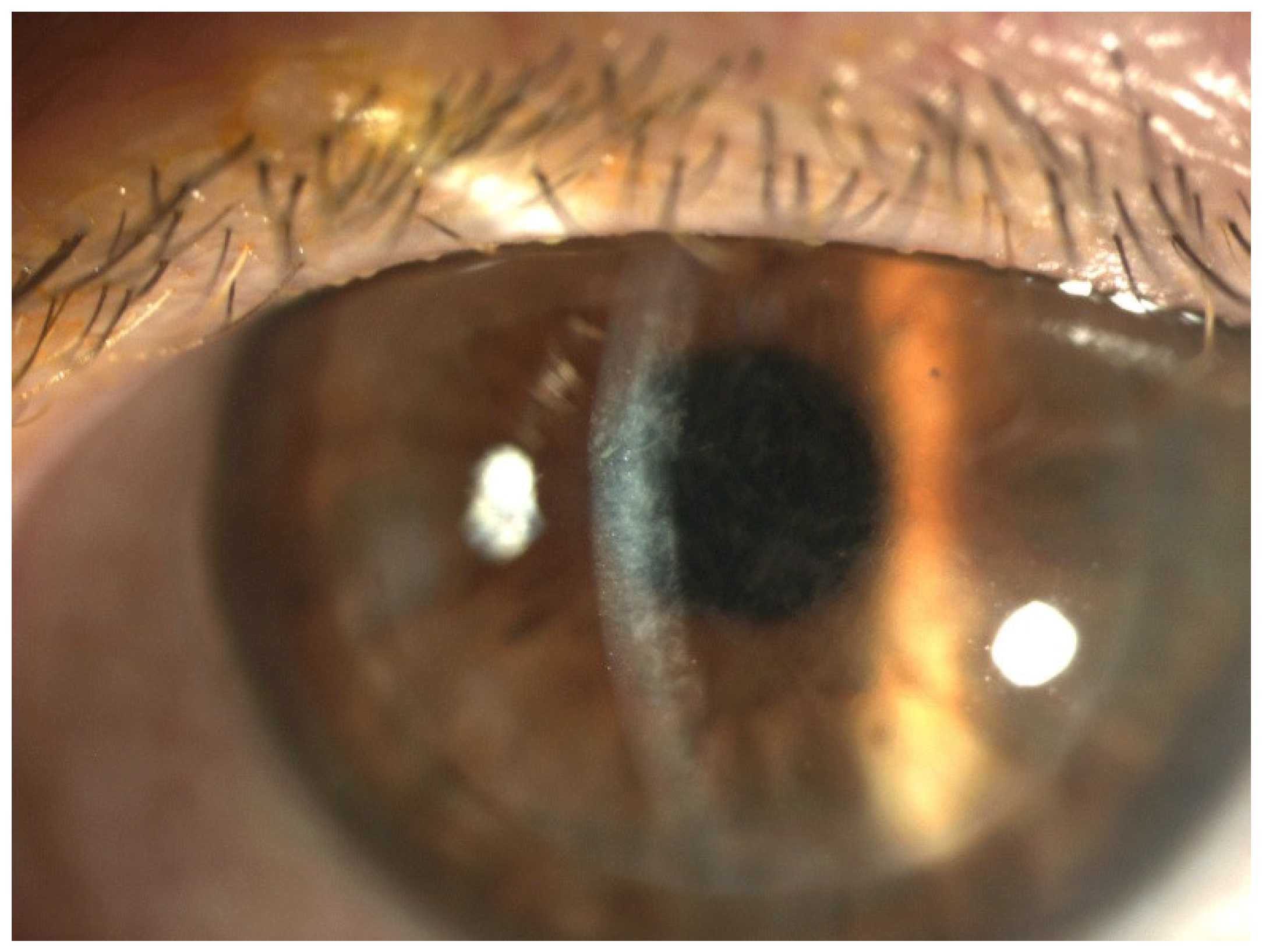 Preprints 156025 g001