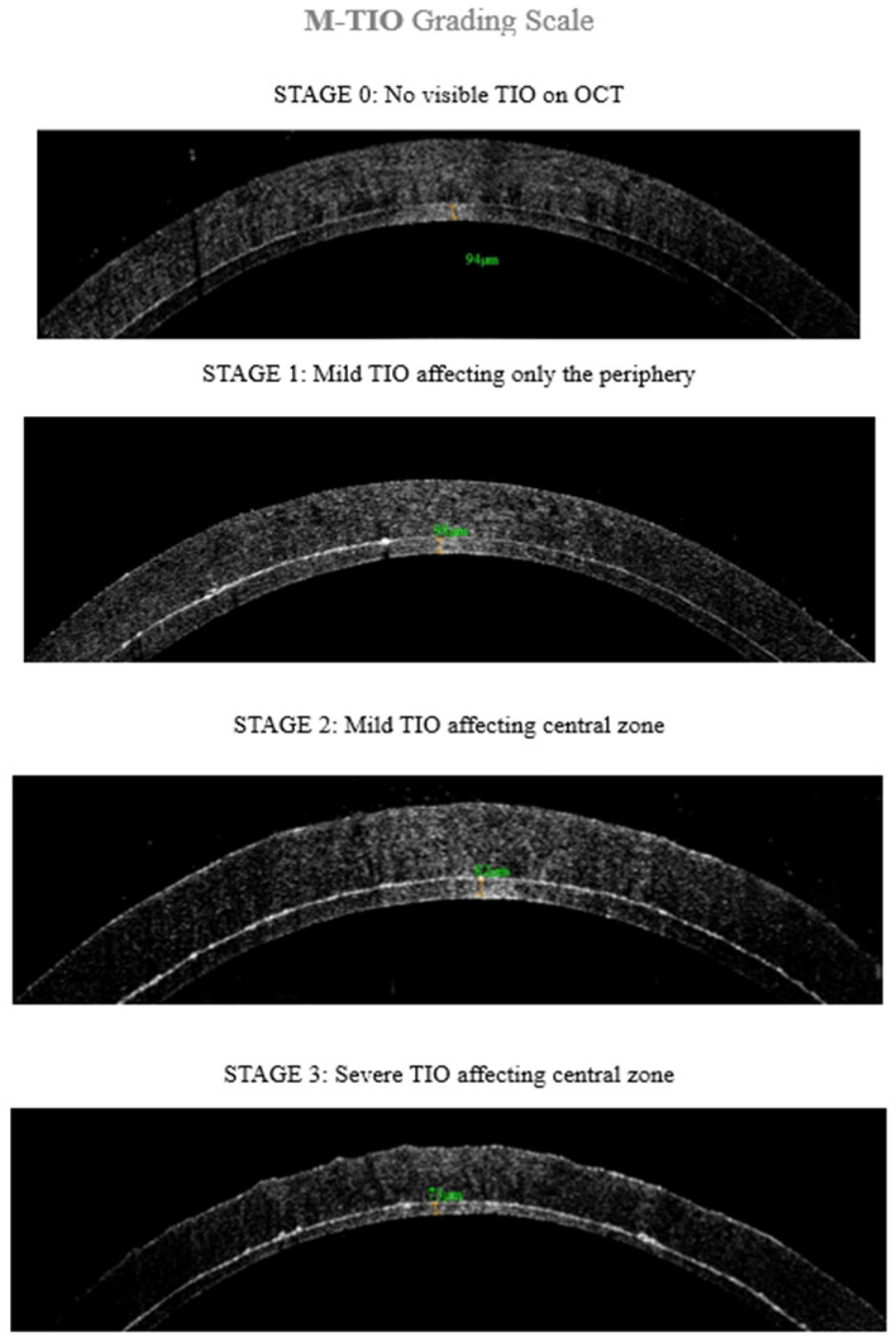 Preprints 156025 g002