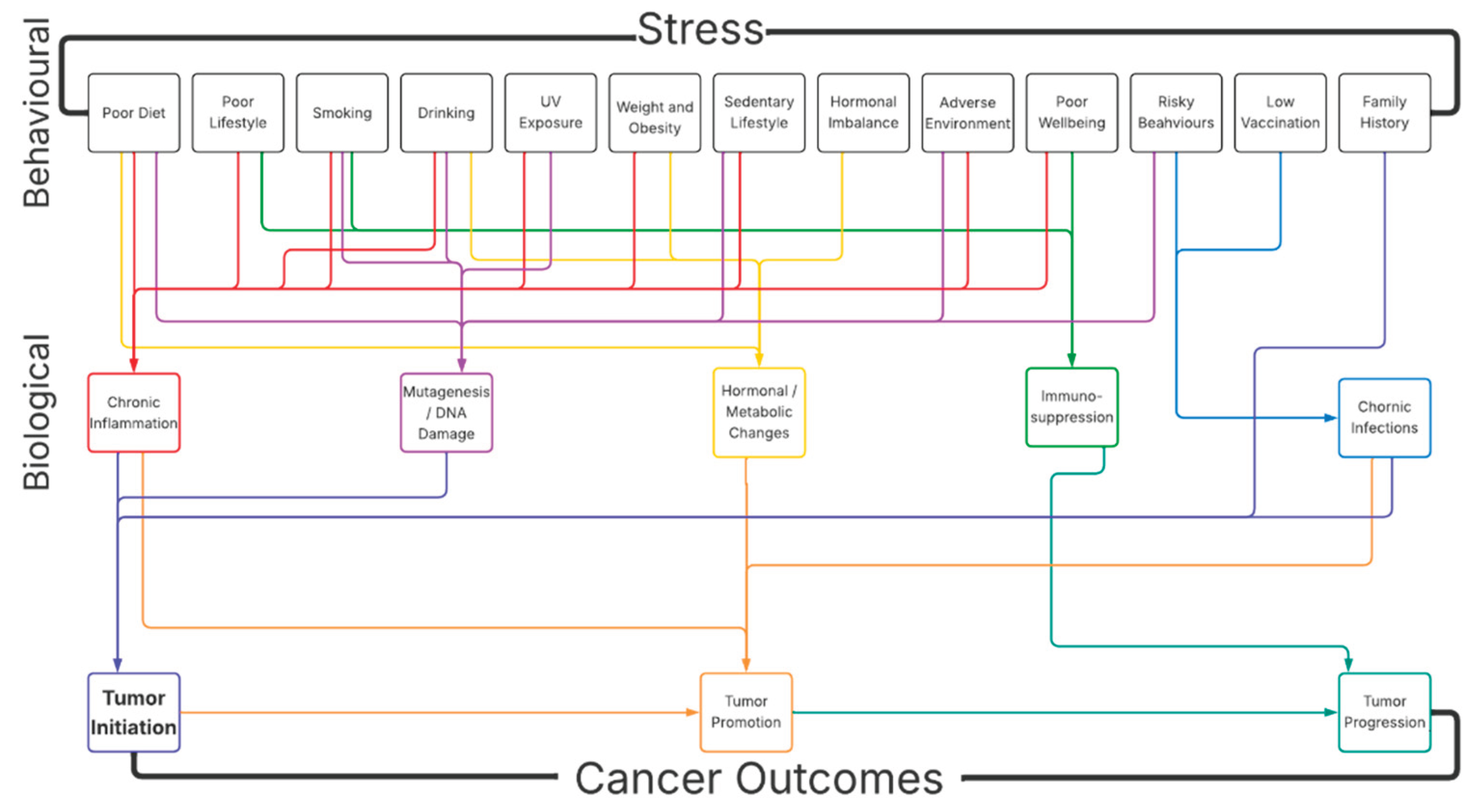 Preprints 180376 g001