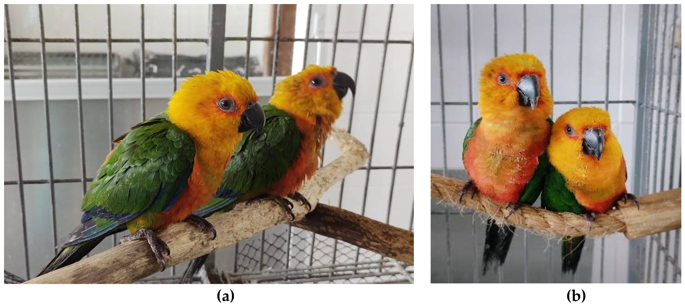 Preprints 138870 g001