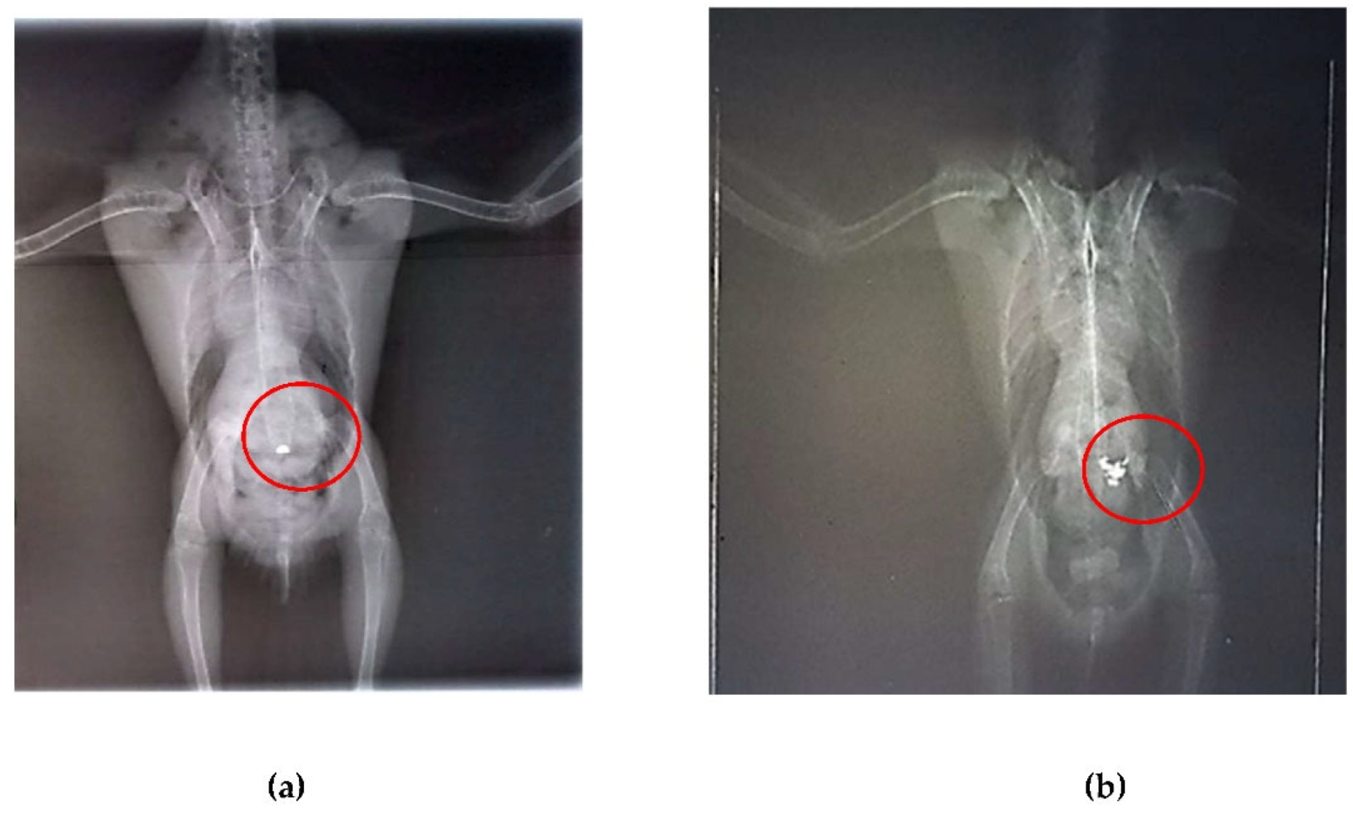 Preprints 138870 g005