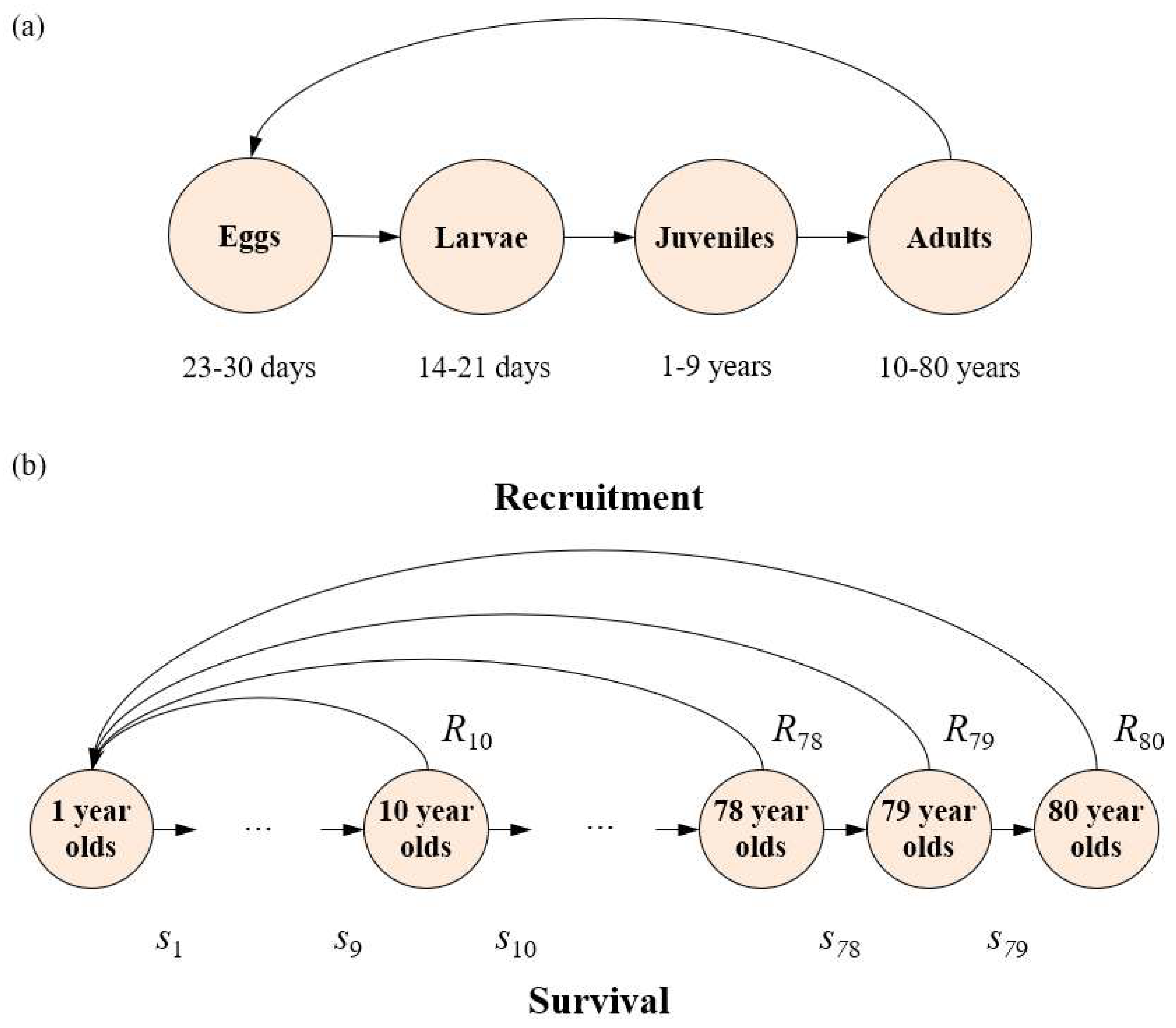 Preprints 141385 g002