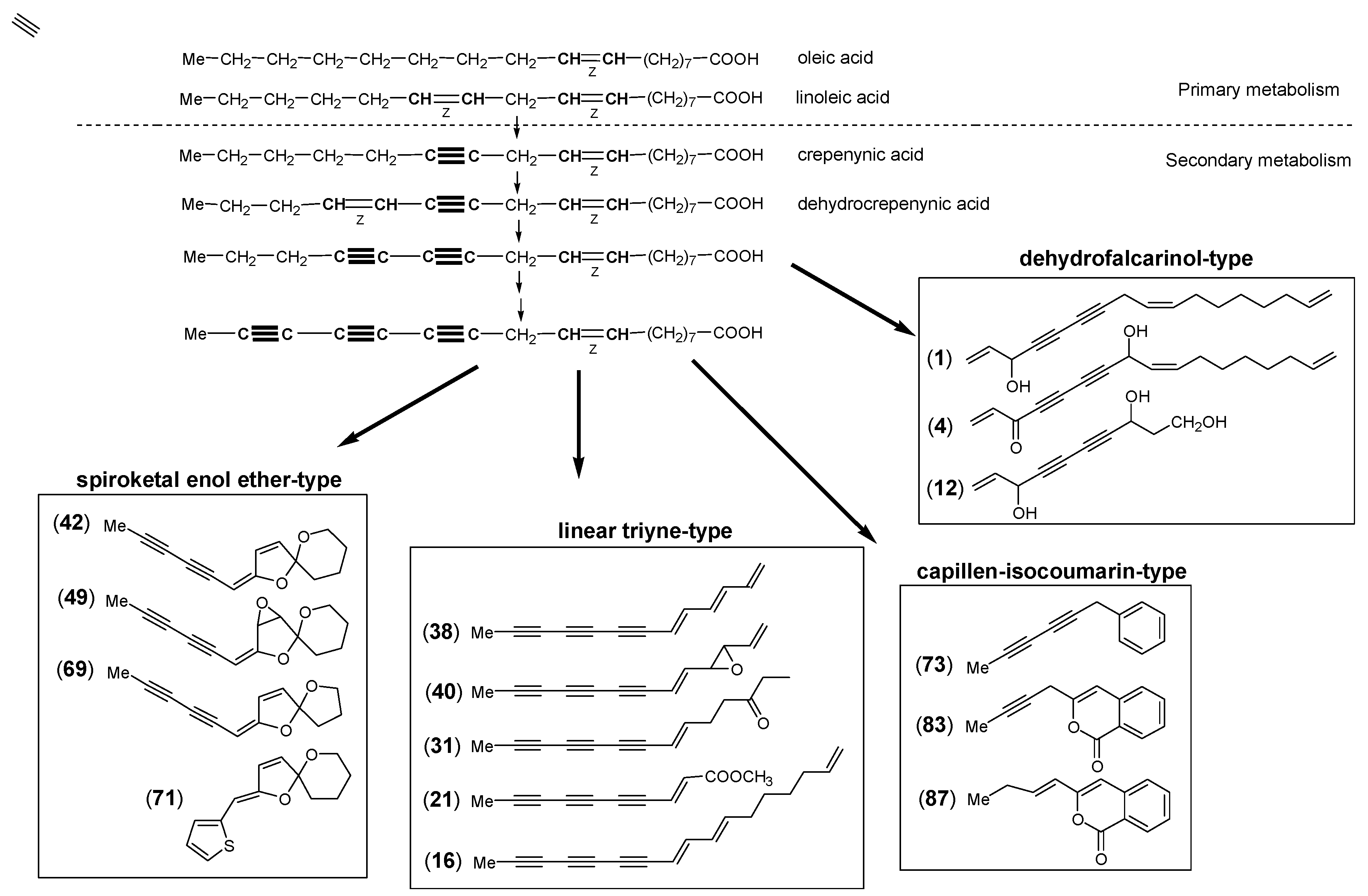 Preprints 144258 g001