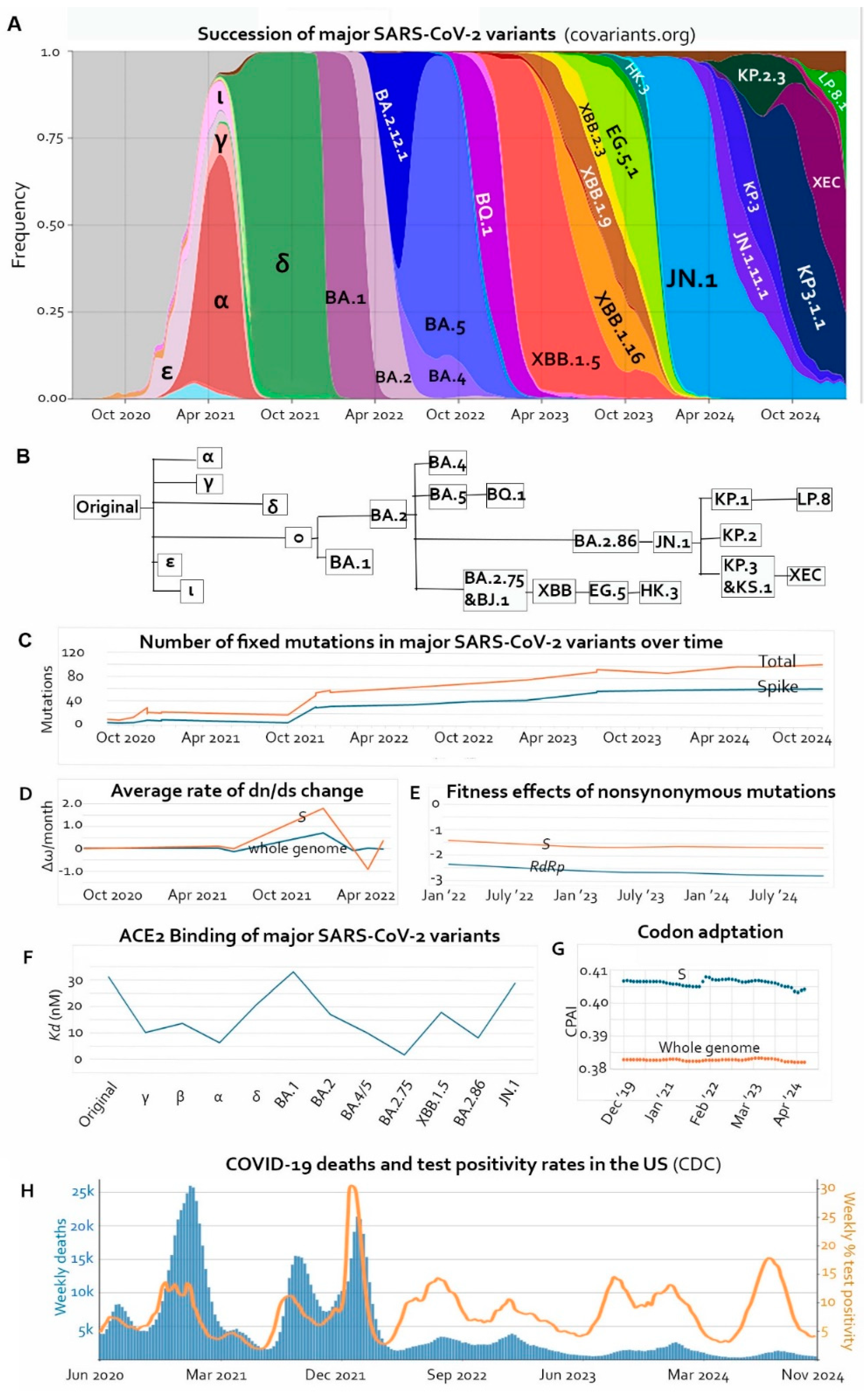Preprints 155960 g001