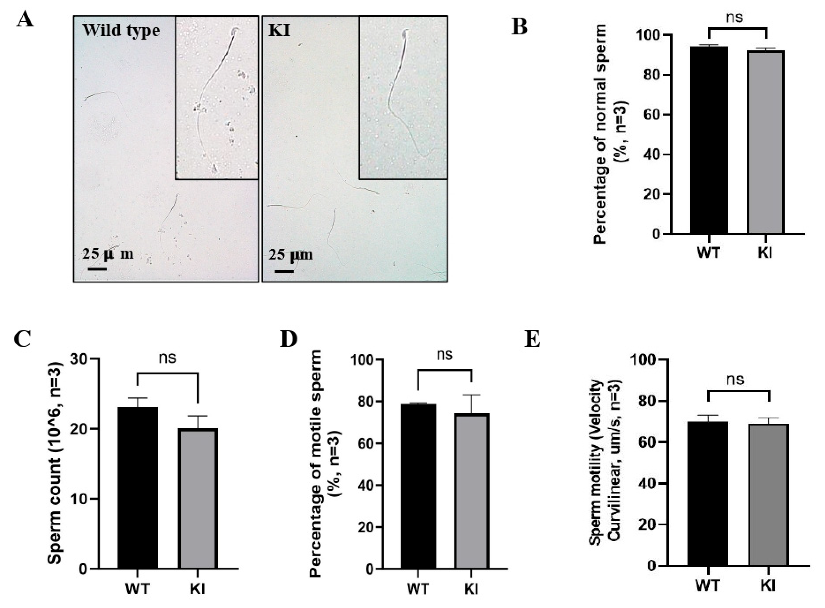 Preprints 224706 g002 Preprints 224706 g002