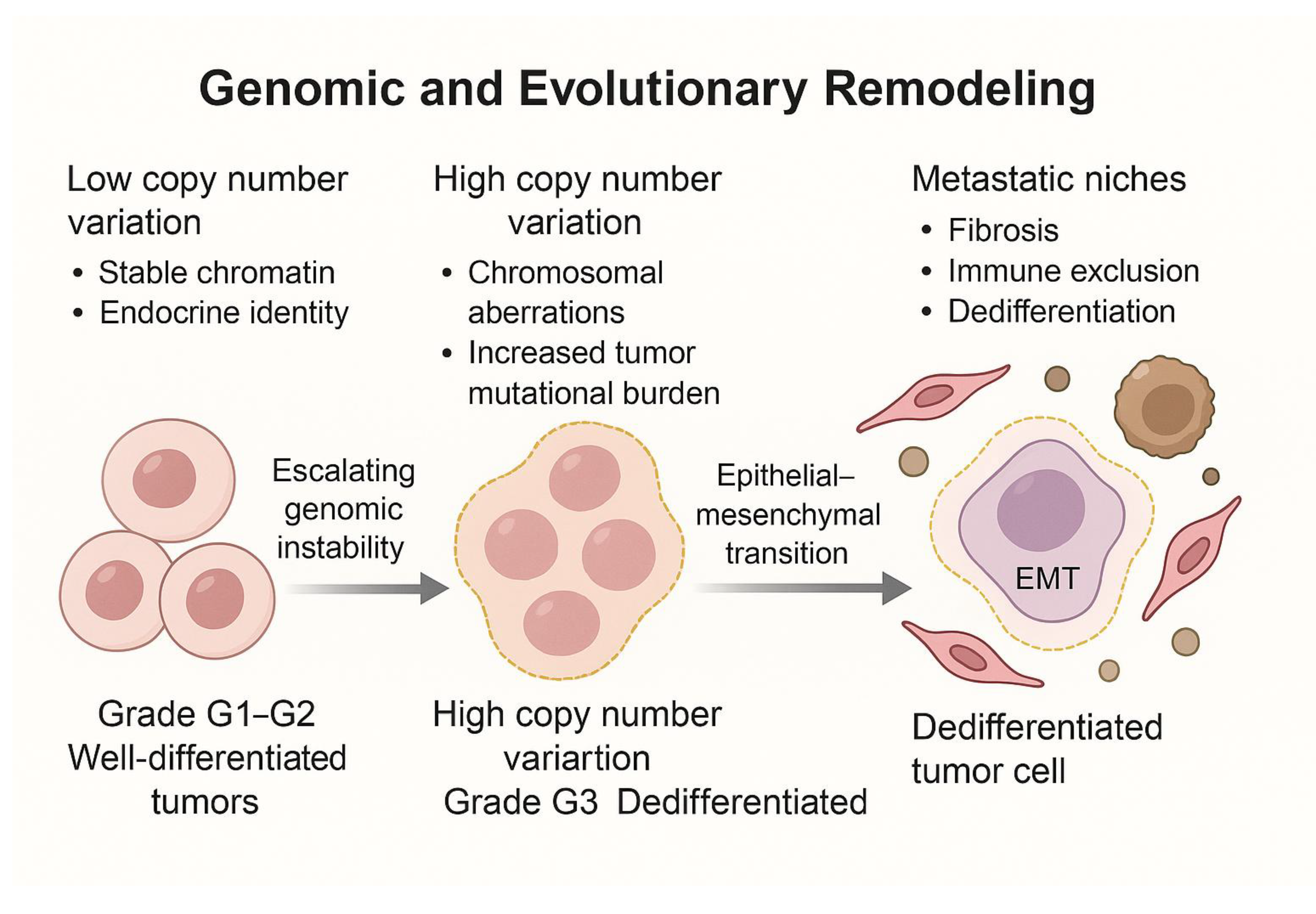 Preprints 175105 g001