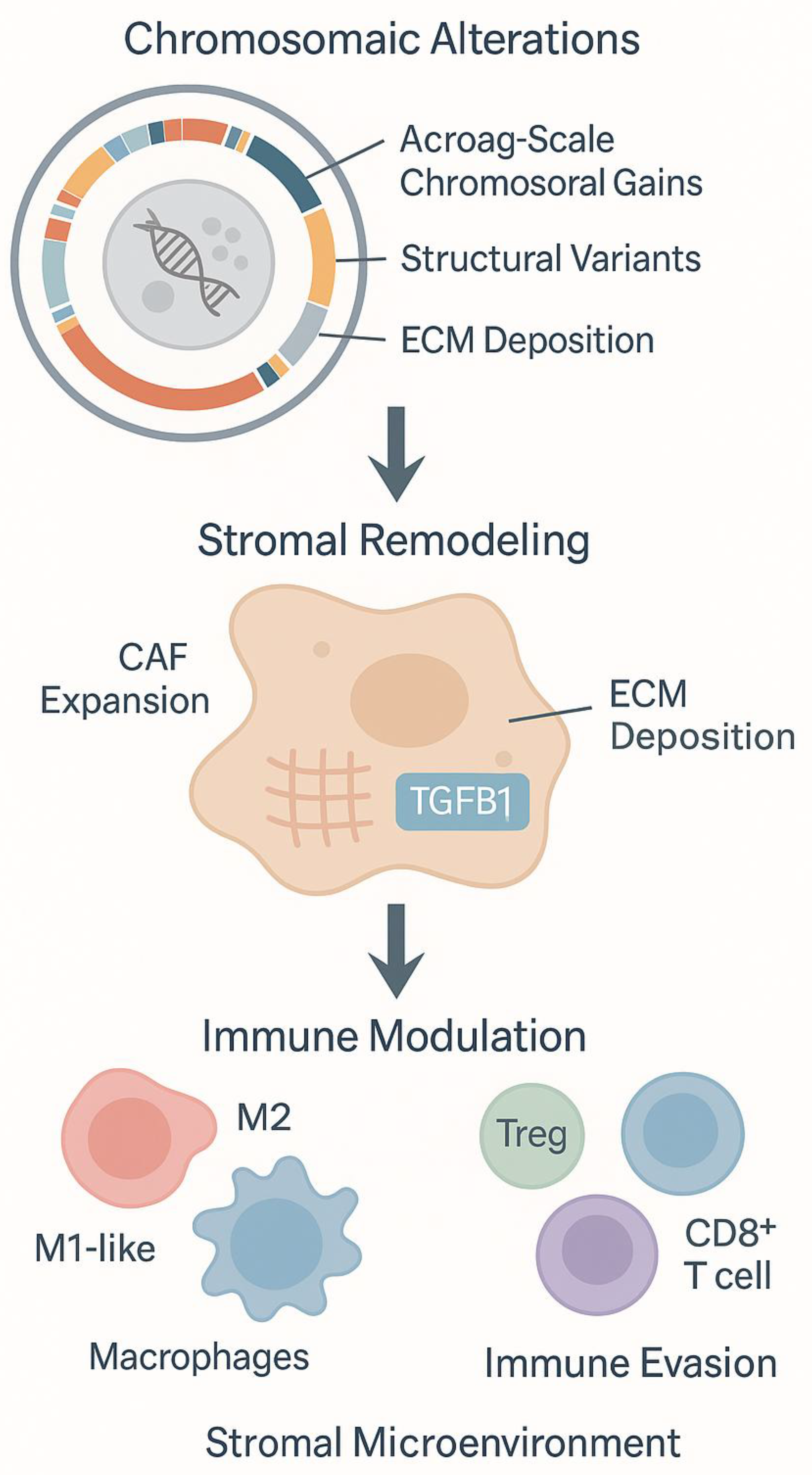 Preprints 175105 g002