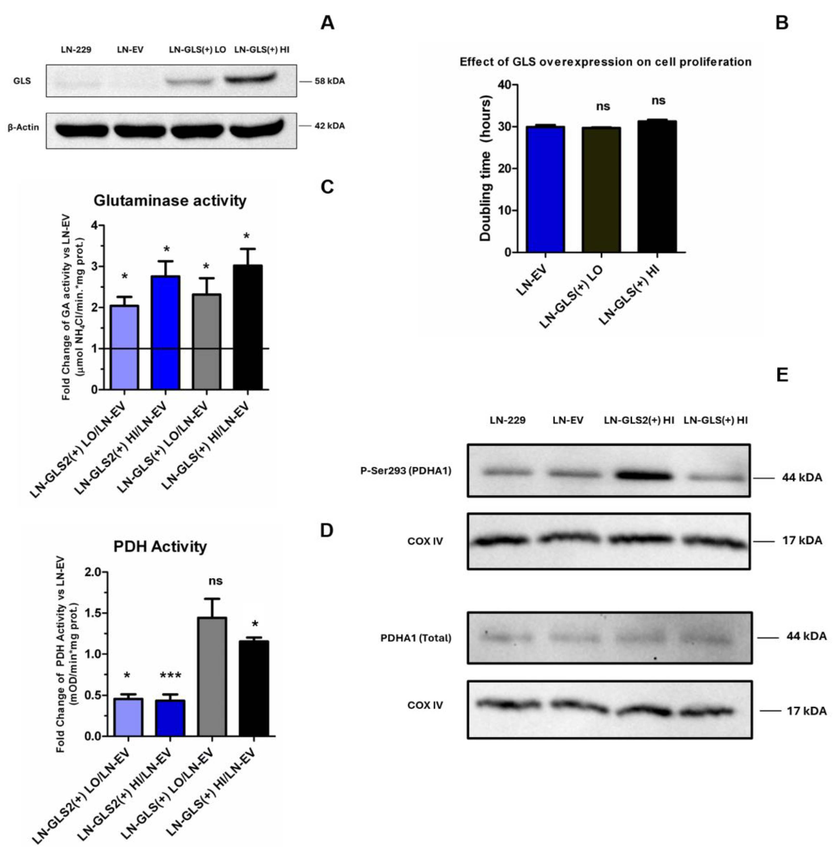 Preprints 143195 g008