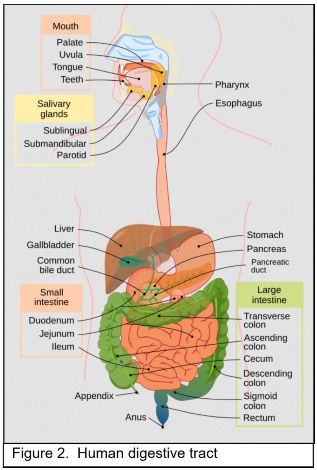 Preprints 177176 i002