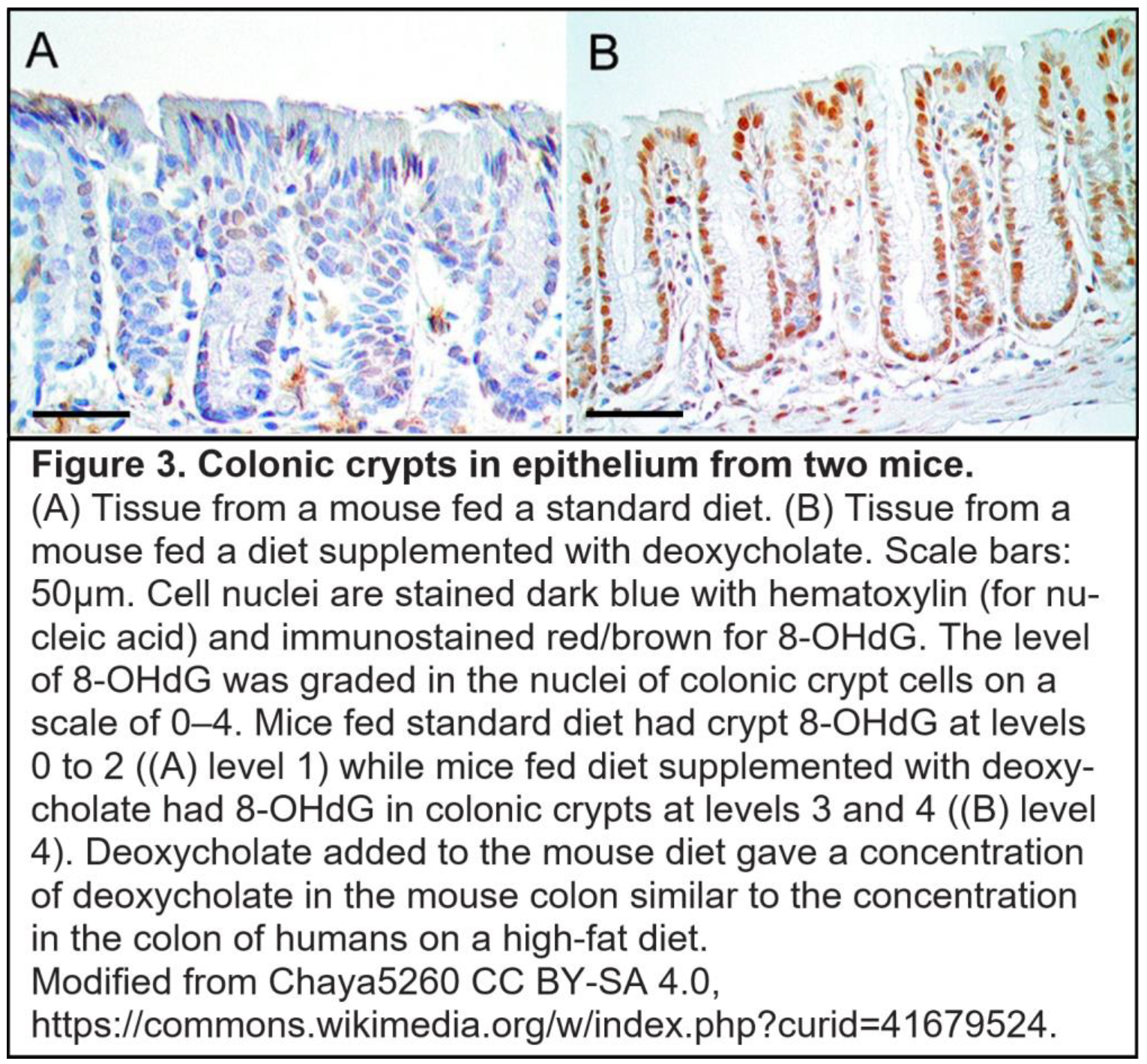 Preprints 177176 i003