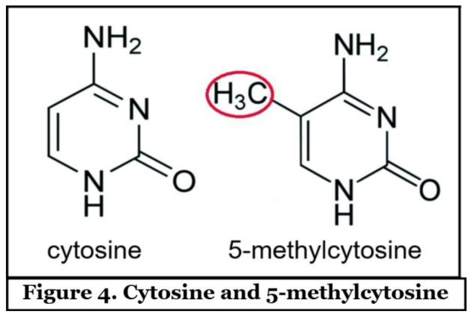 Preprints 177176 i004