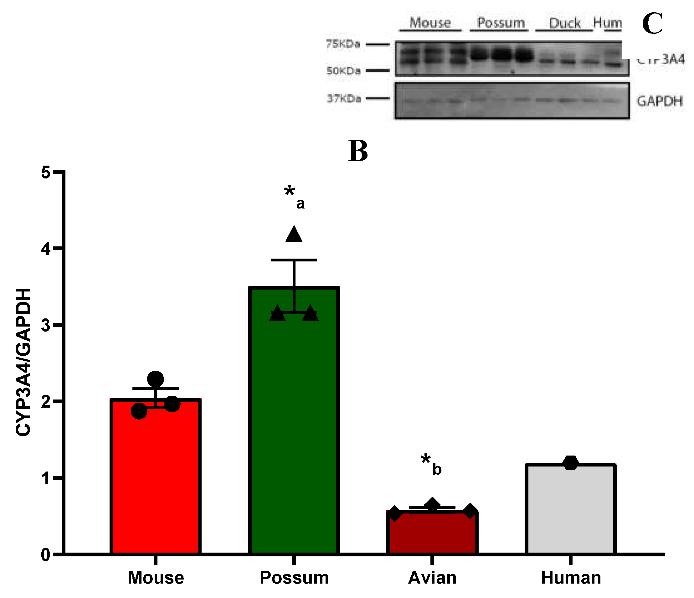 Preprints 71590 g001b