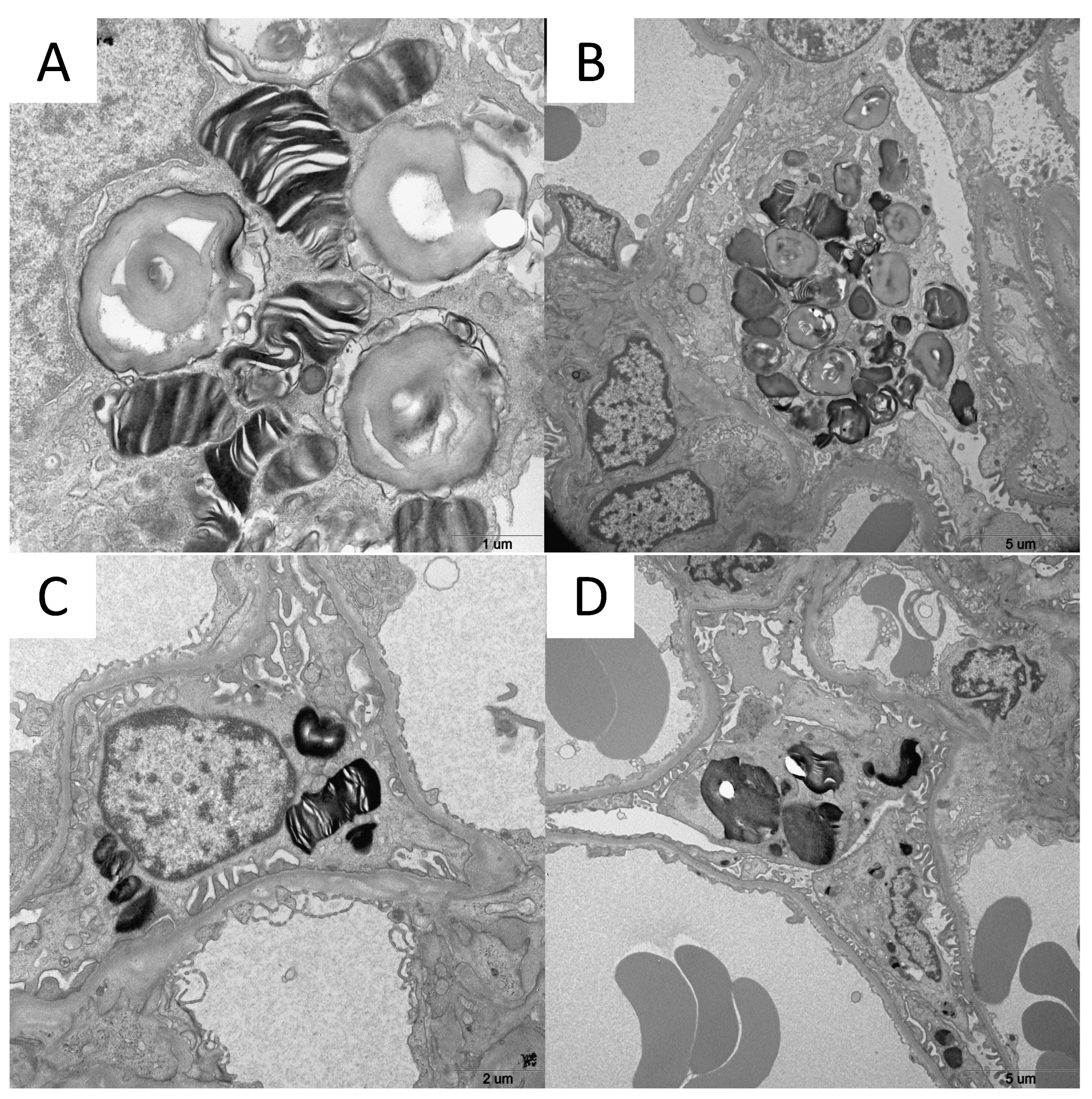 Preprints 142533 g001