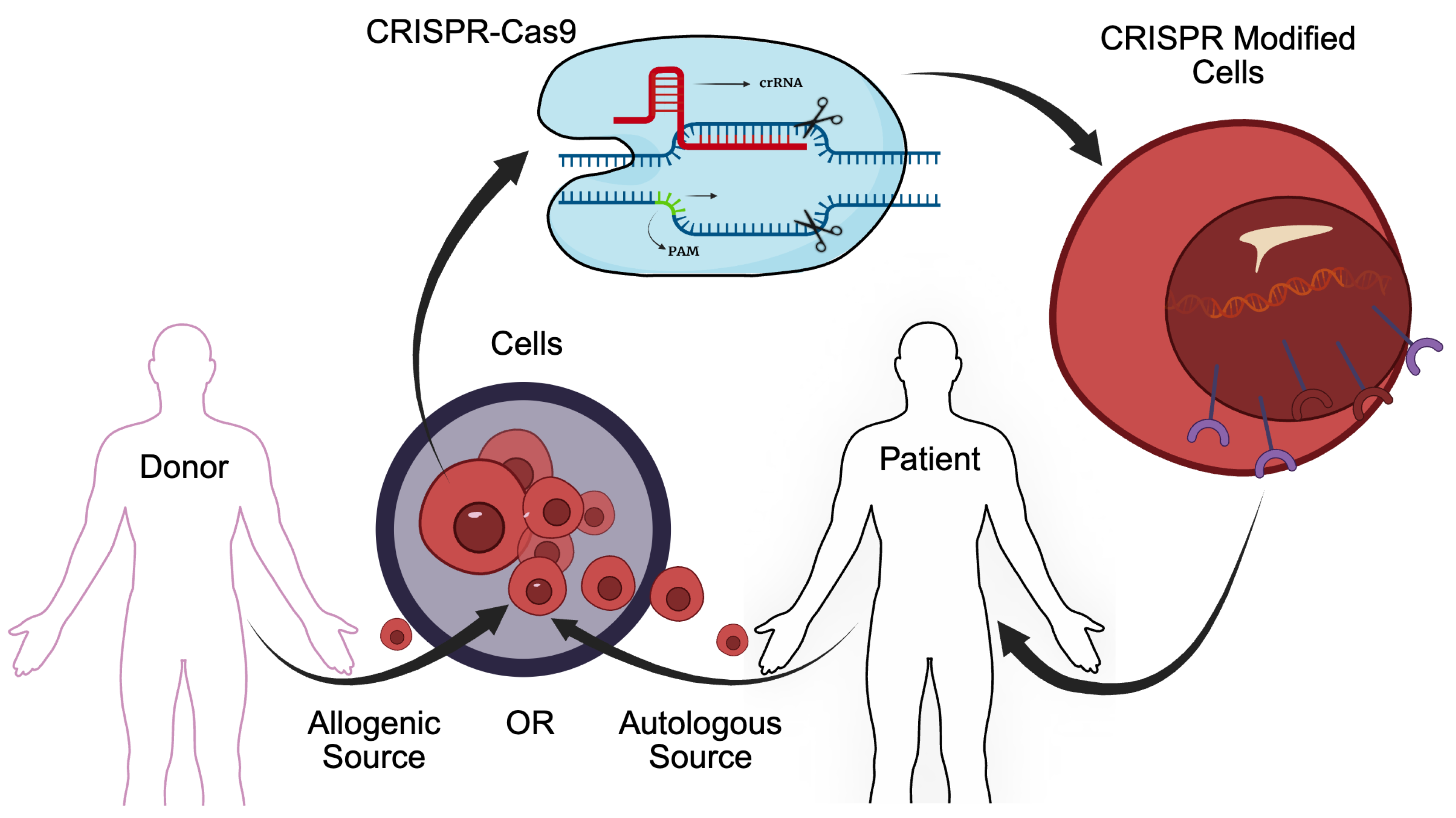 Preprints 180234 g001