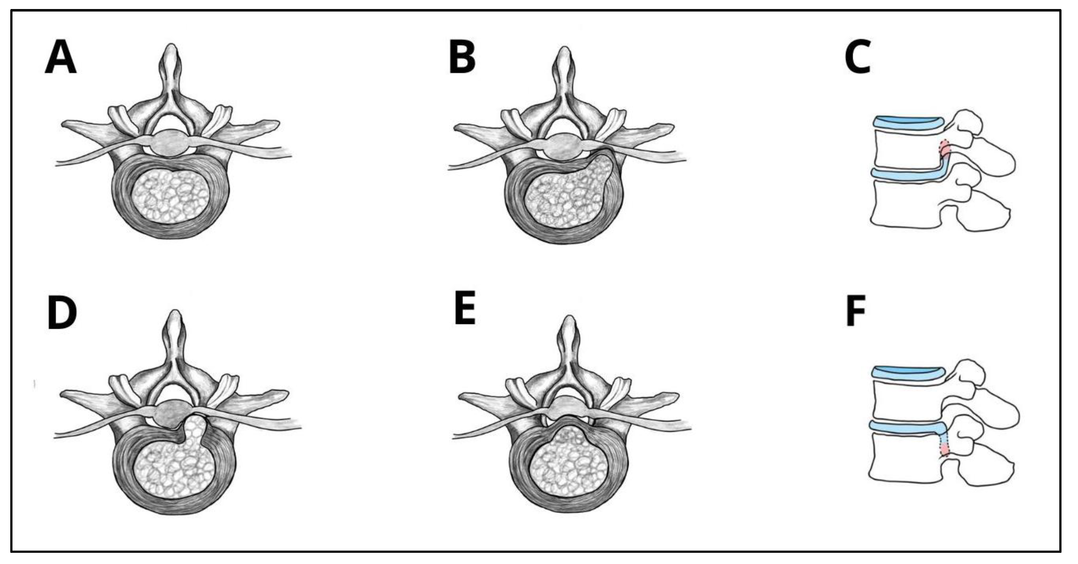 Preprints 185516 g001