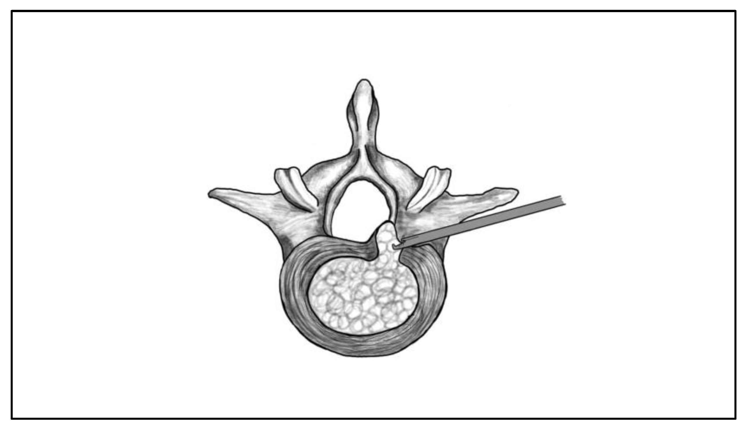 Preprints 185516 g002
