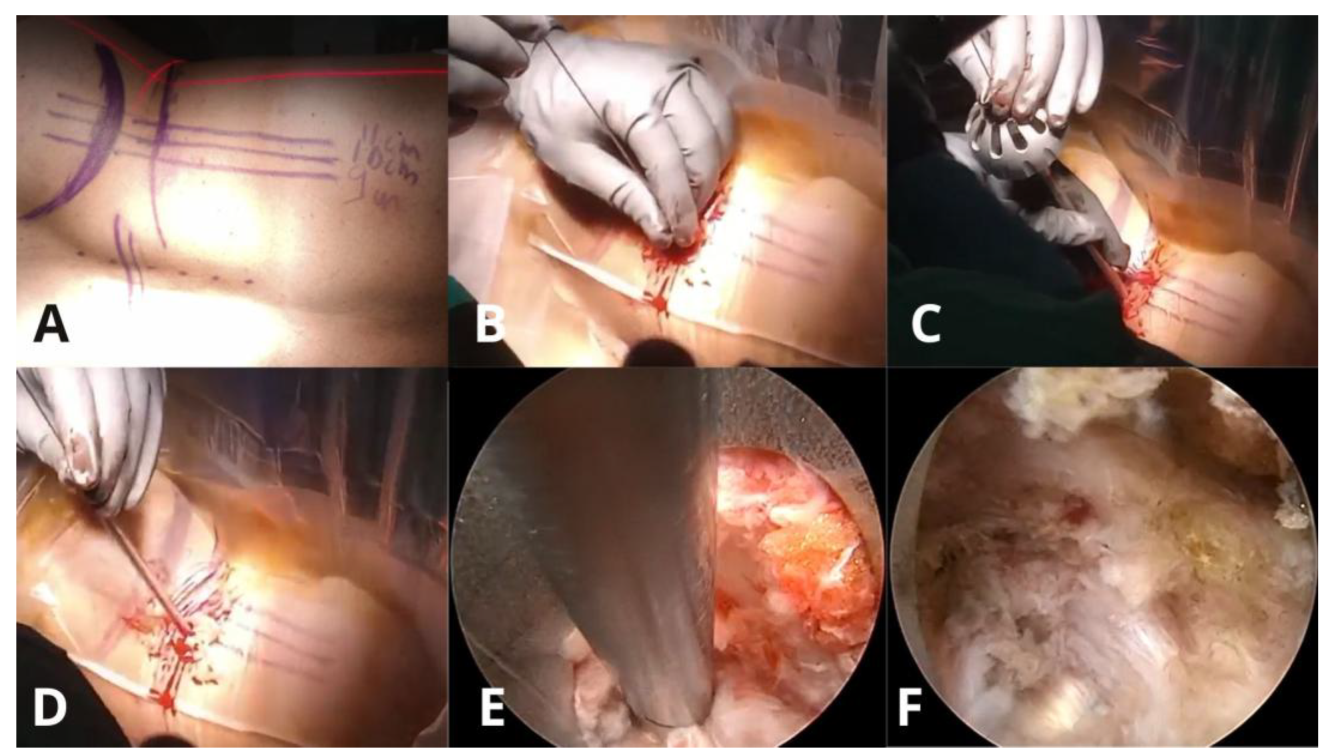 Preprints 185516 g003