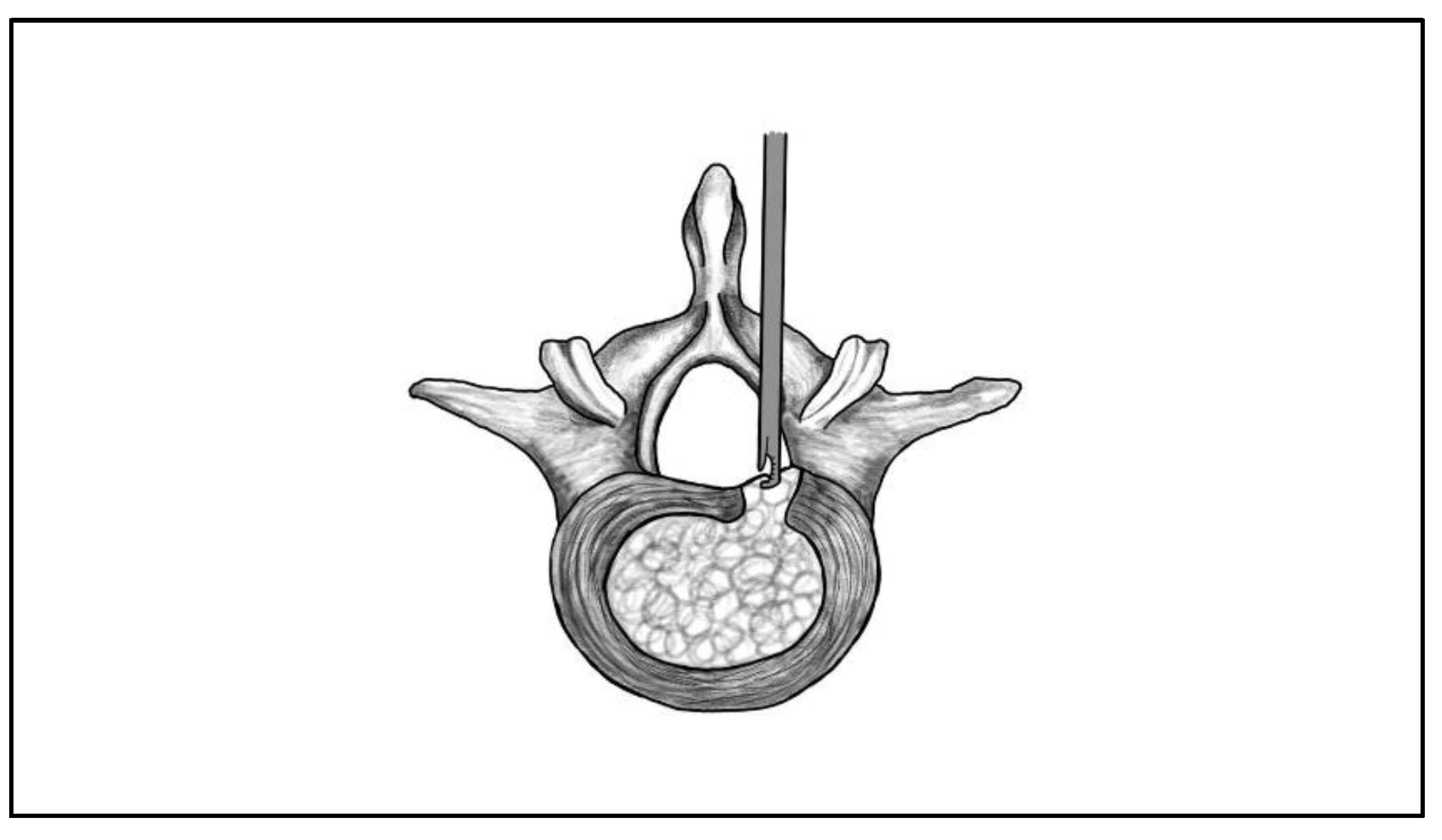 Preprints 185516 g004