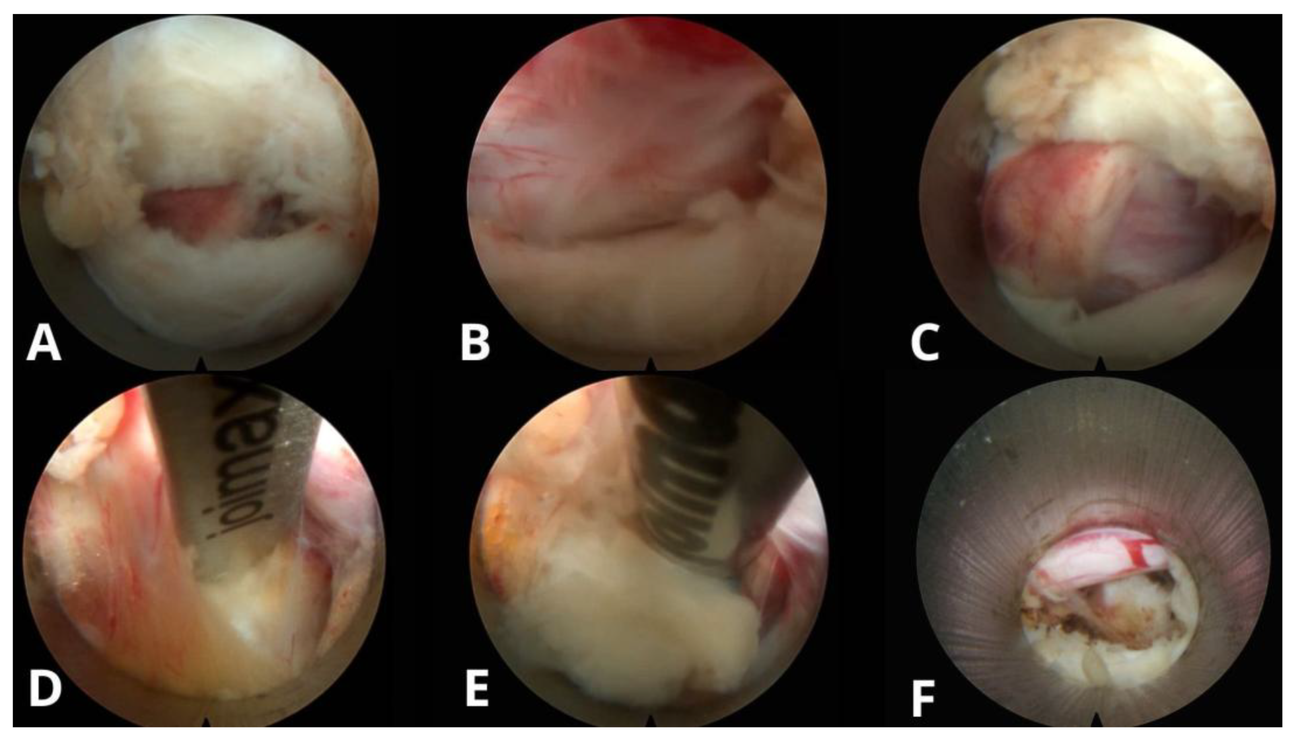 Preprints 185516 g005