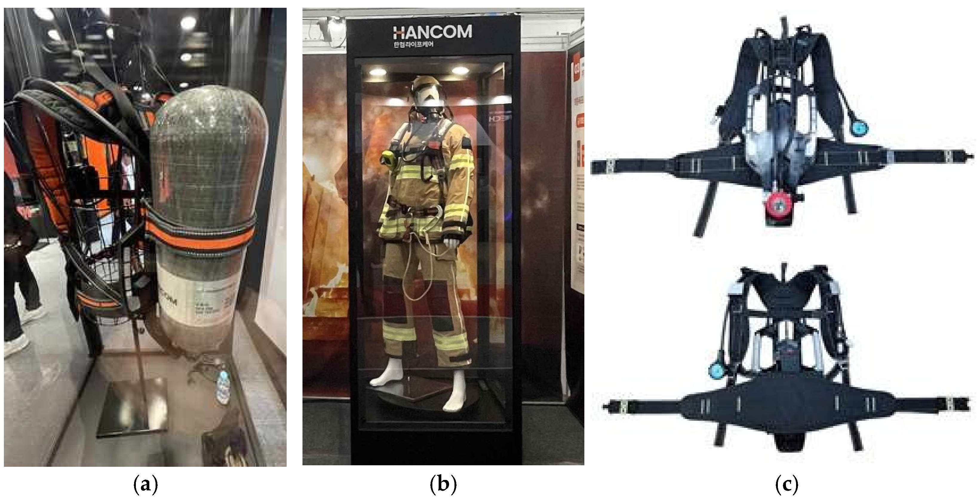 Preprints 146792 g001