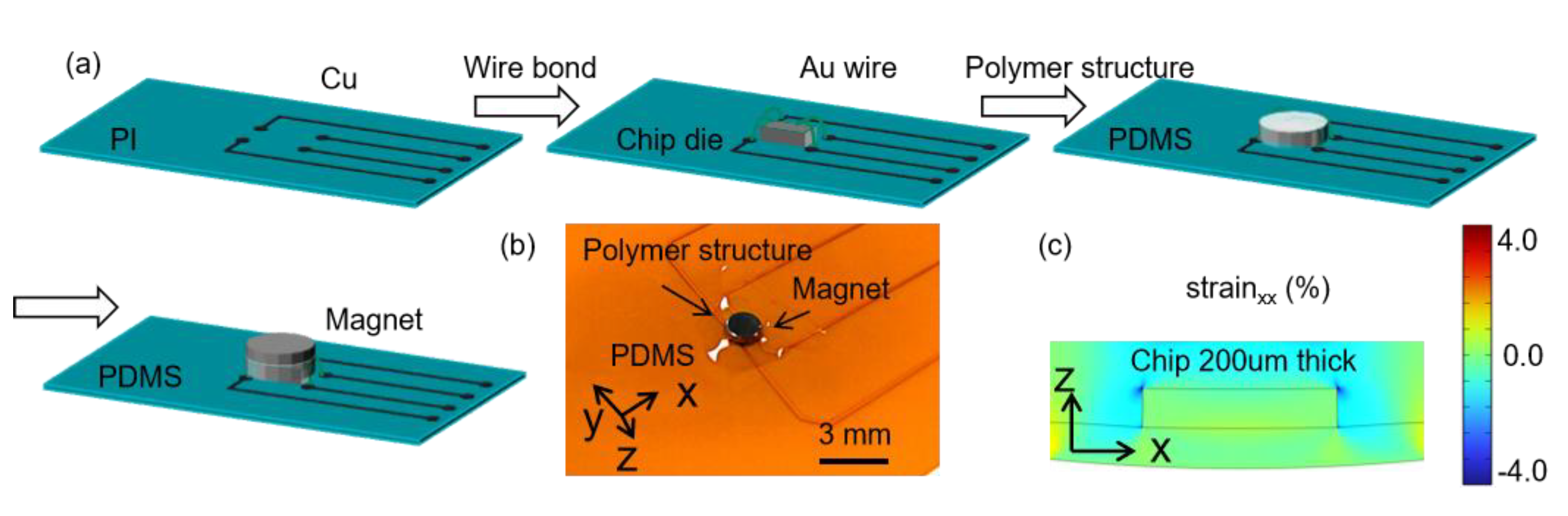 Preprints 172449 g004
