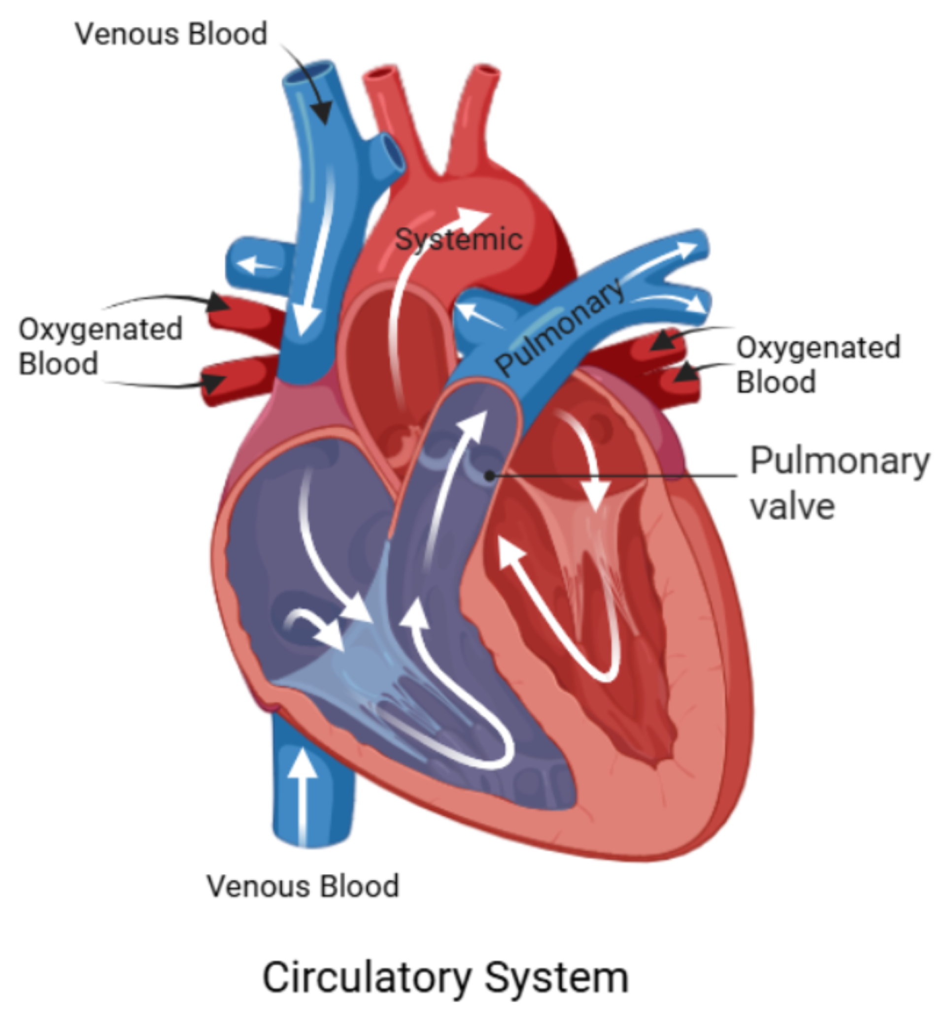 Preprints 164532 g001