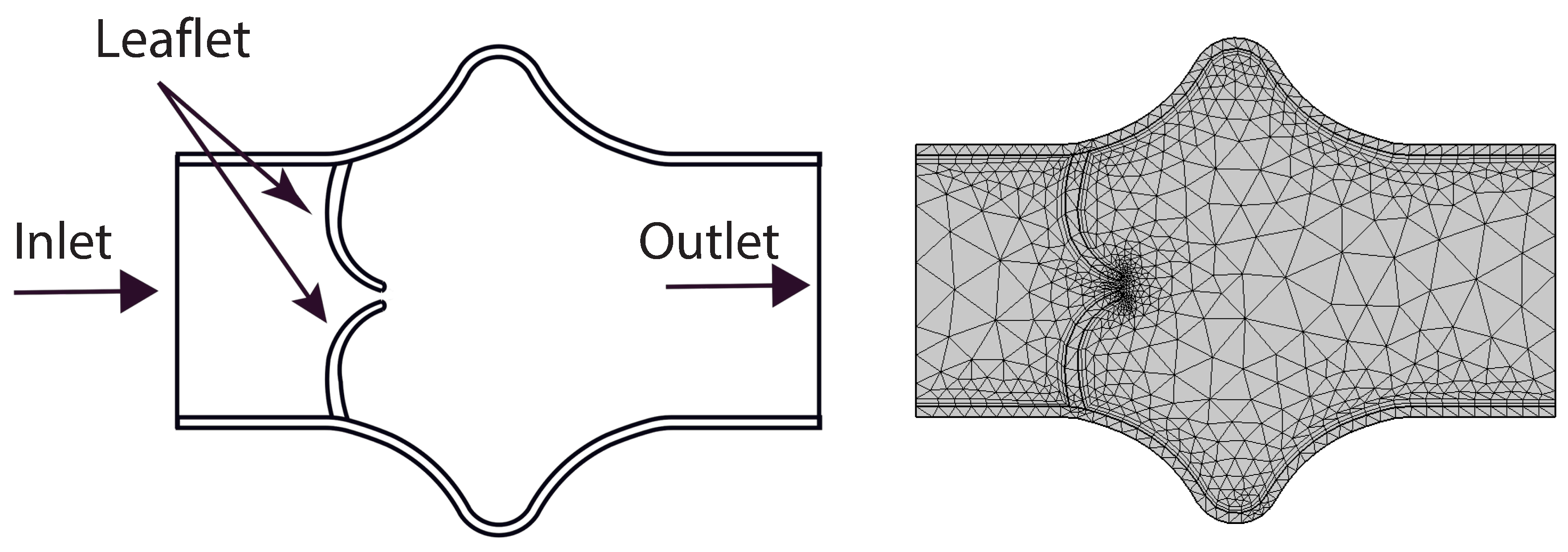 Preprints 164532 g002