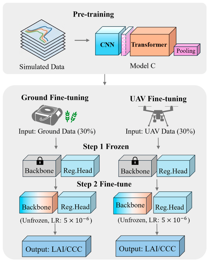 Preprints 226579 g006 Preprints 226579 g006
