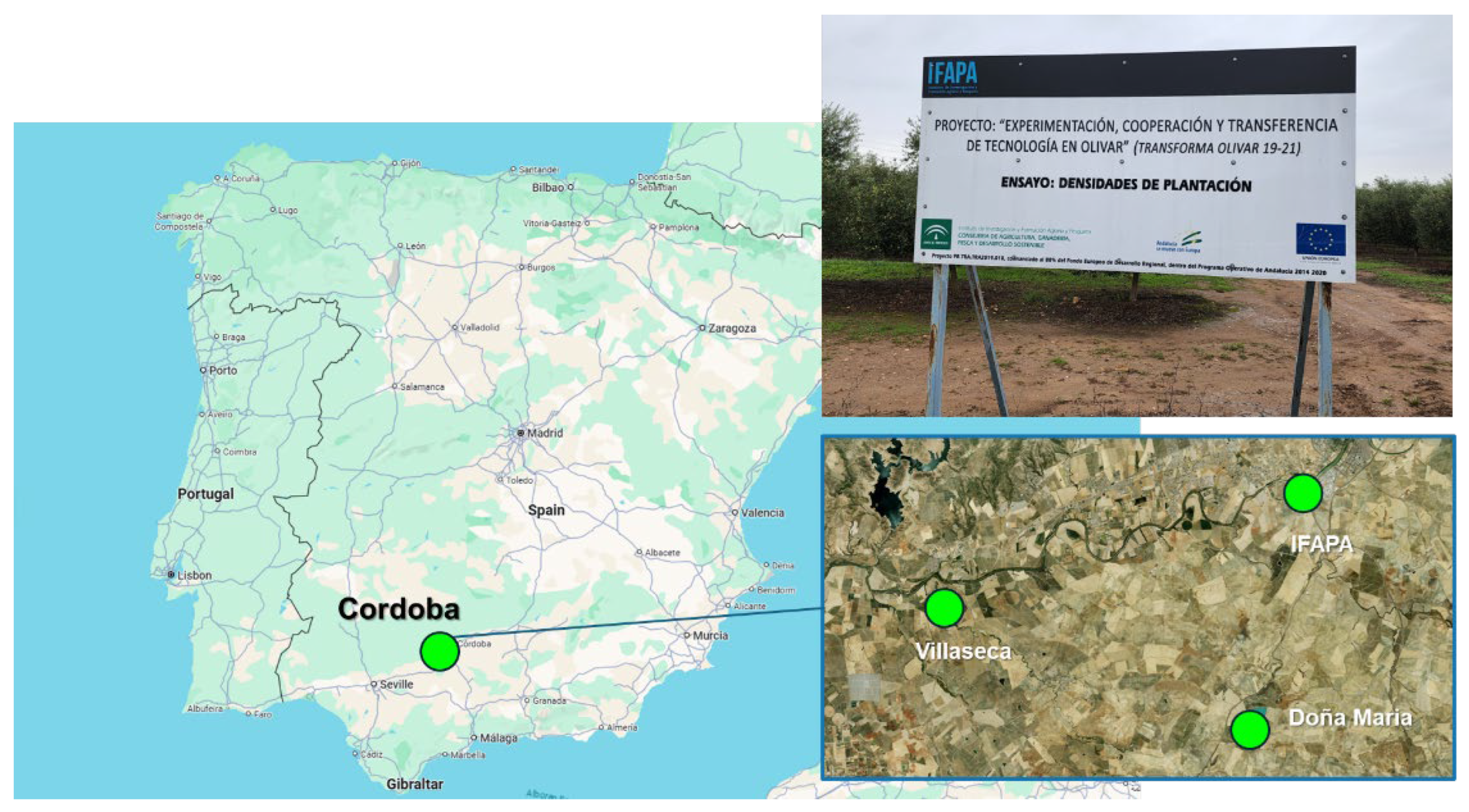 Preprints 201059 g001