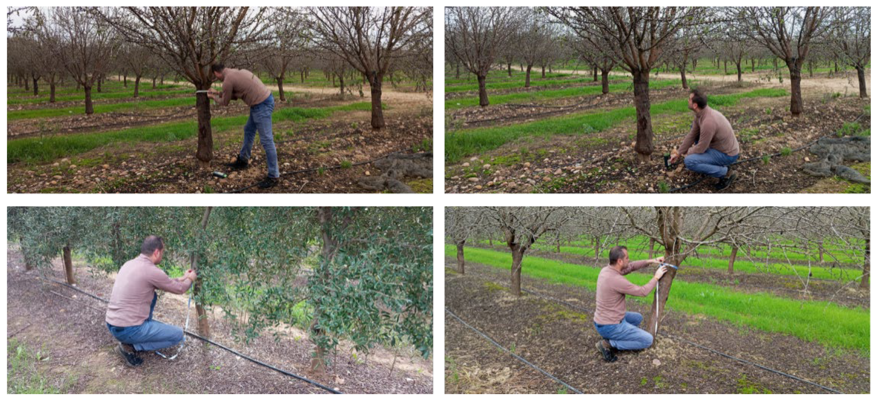 Preprints 201059 g003