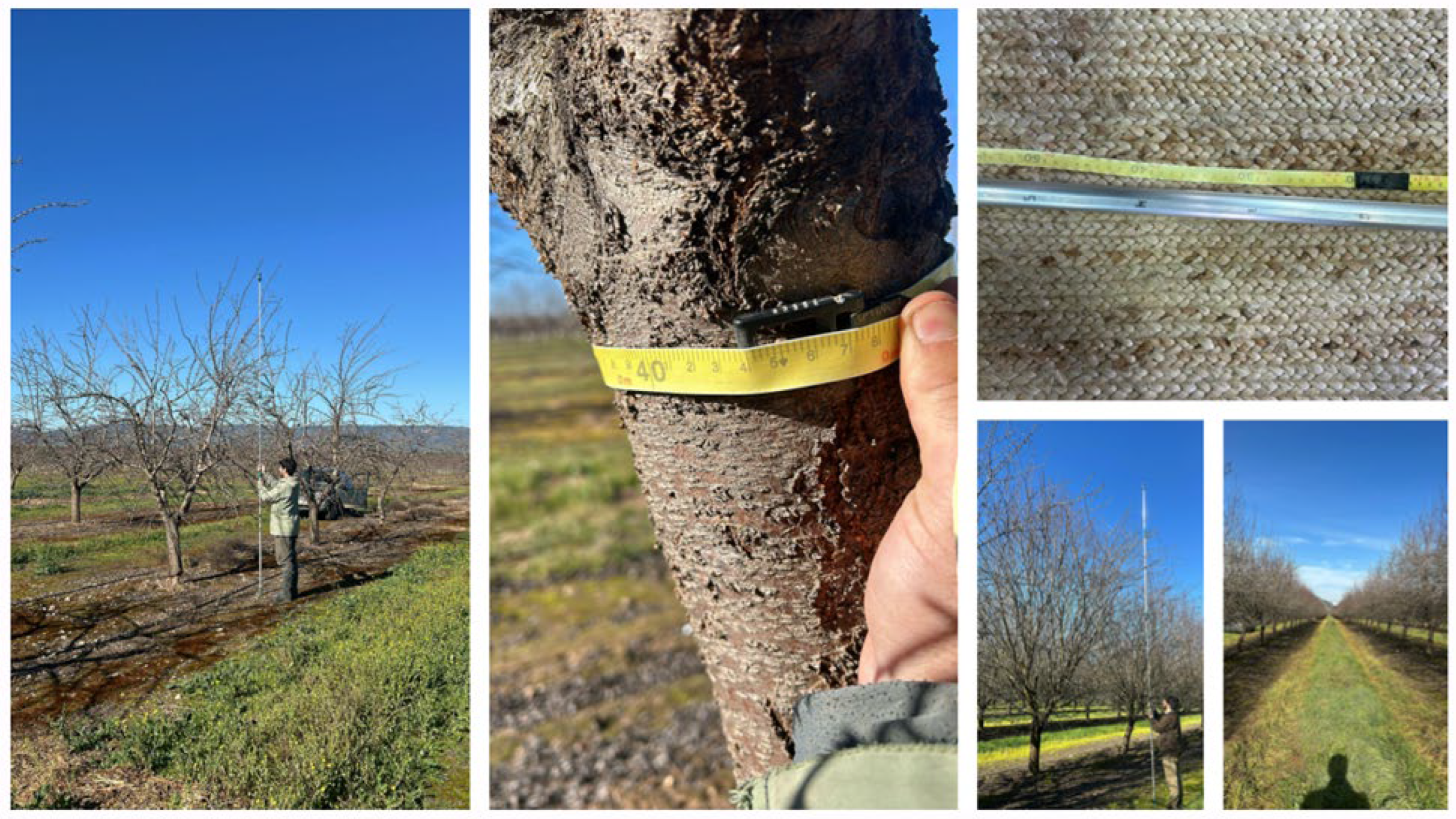 Preprints 201059 g004