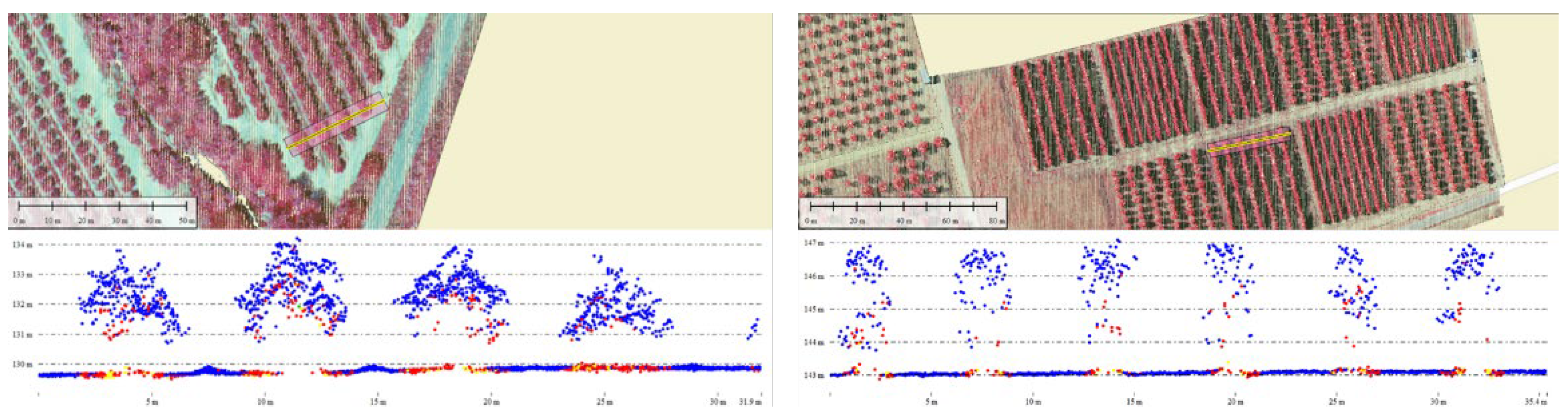 Preprints 201059 g006