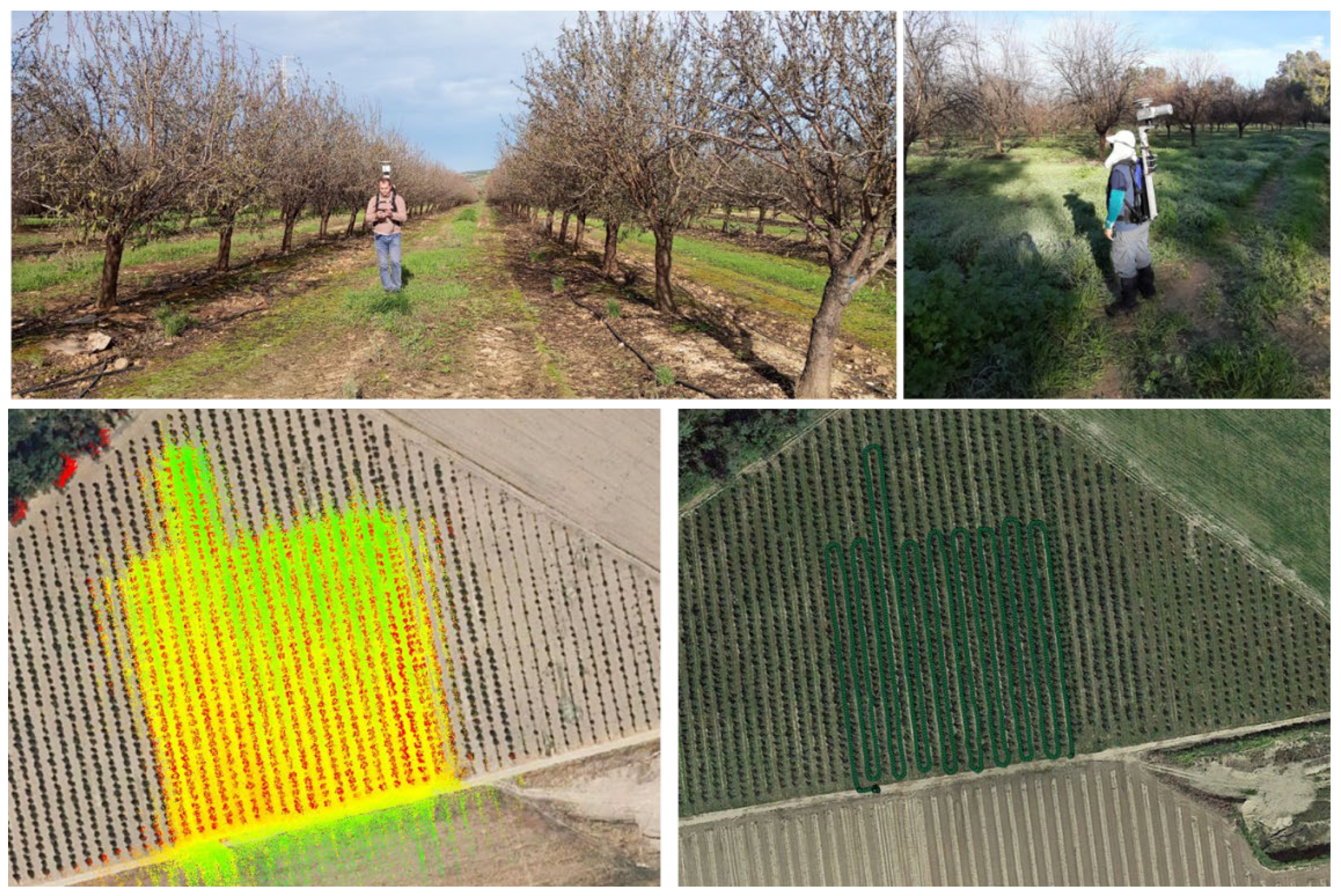 Preprints 201059 g008