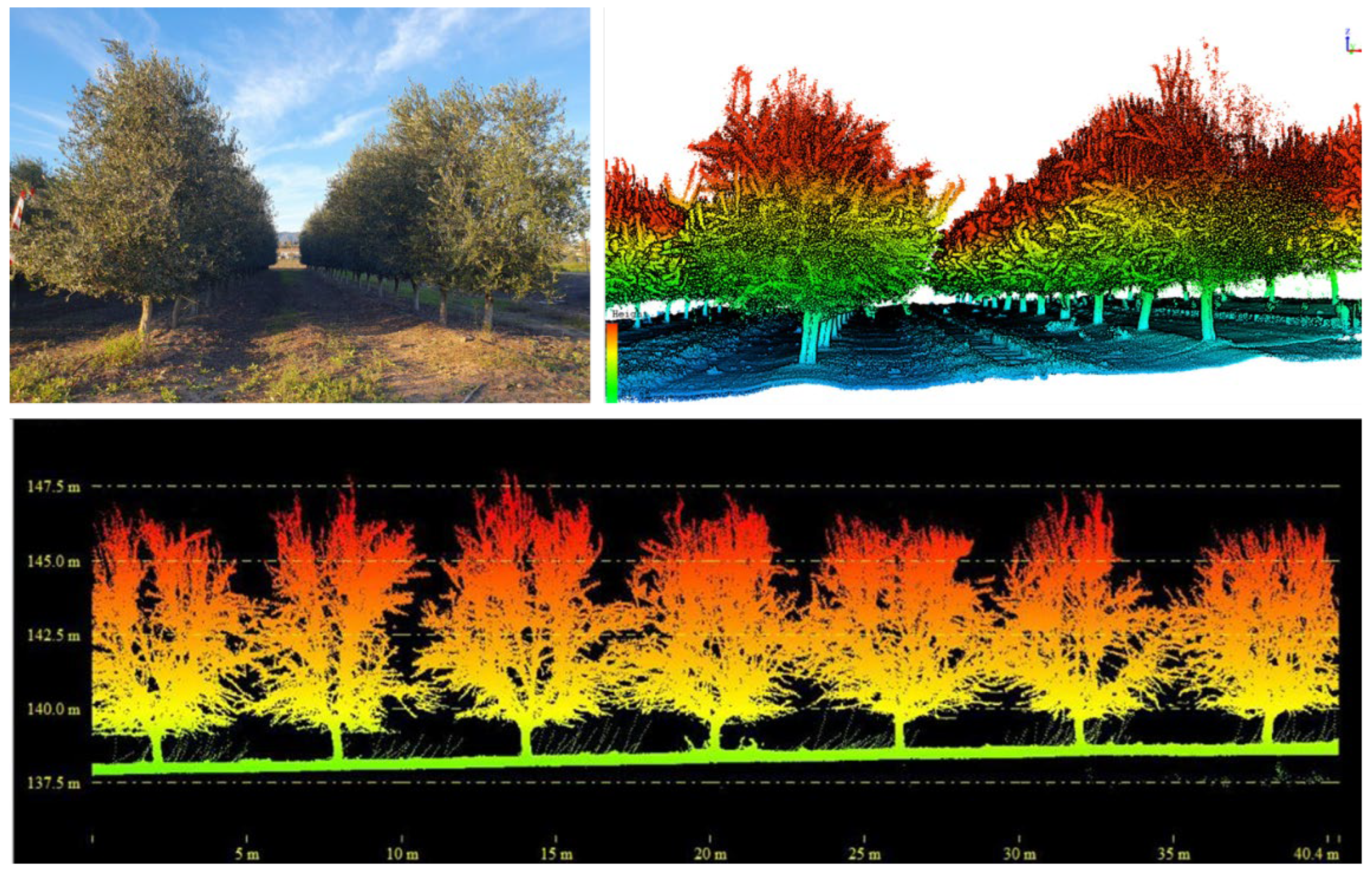 Preprints 201059 g009