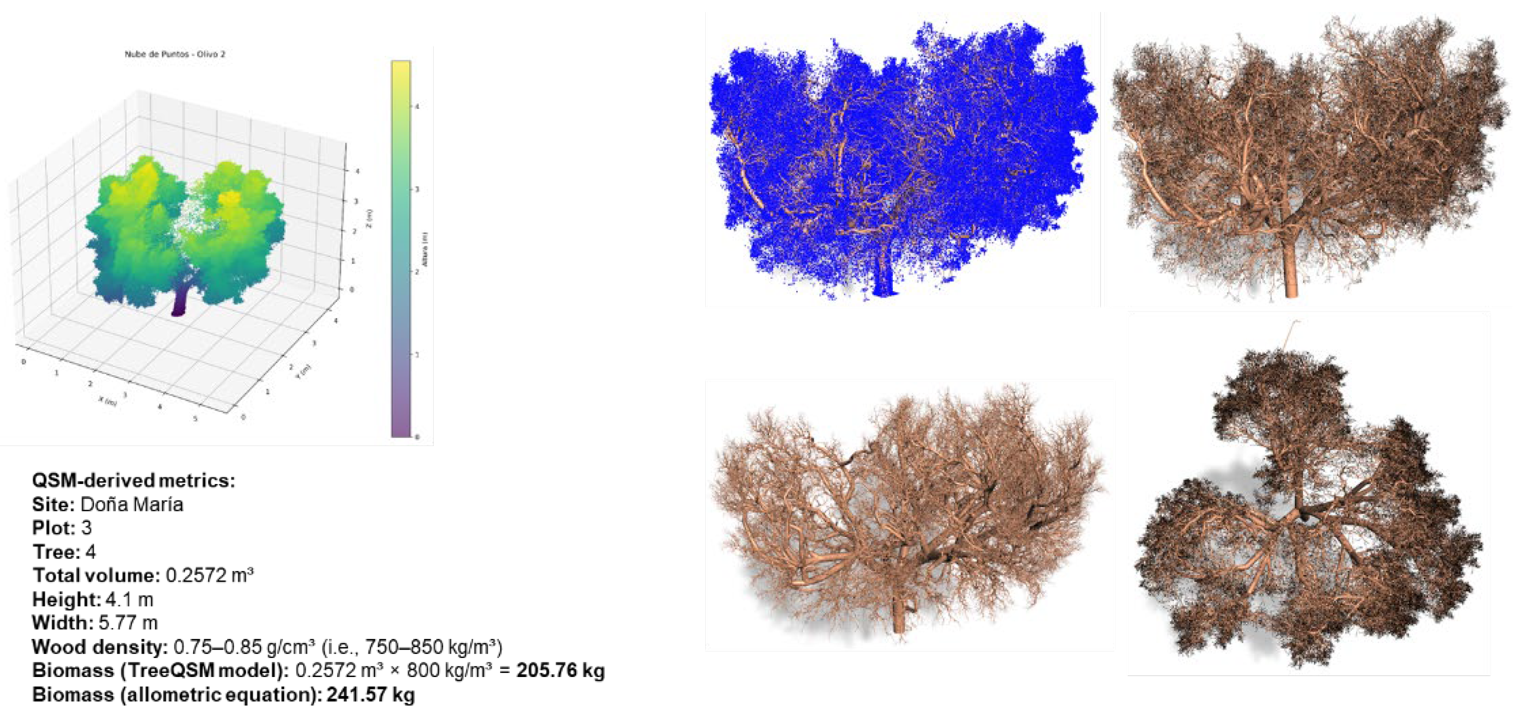 Preprints 201059 g012