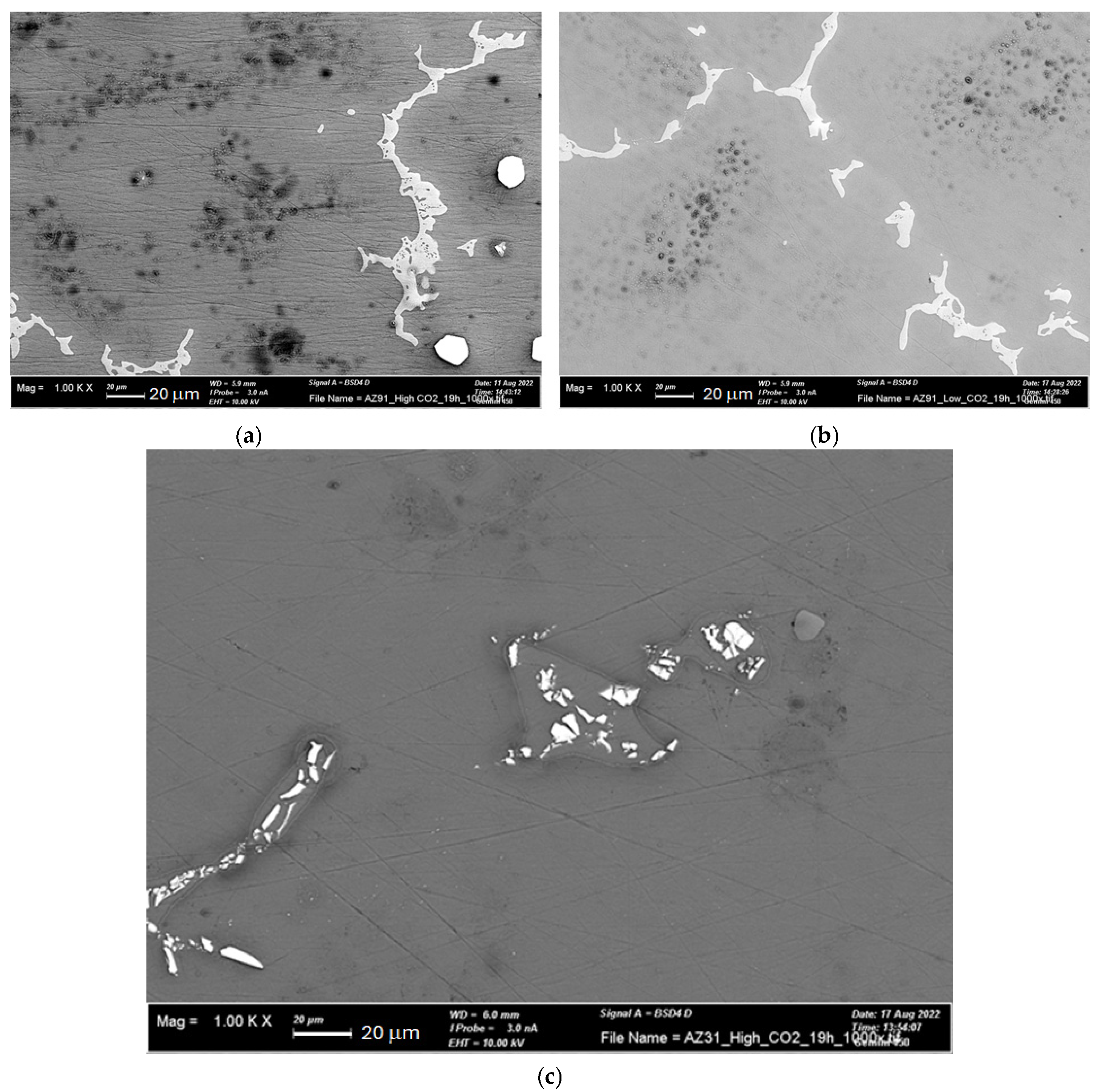 Preprints 176968 g009