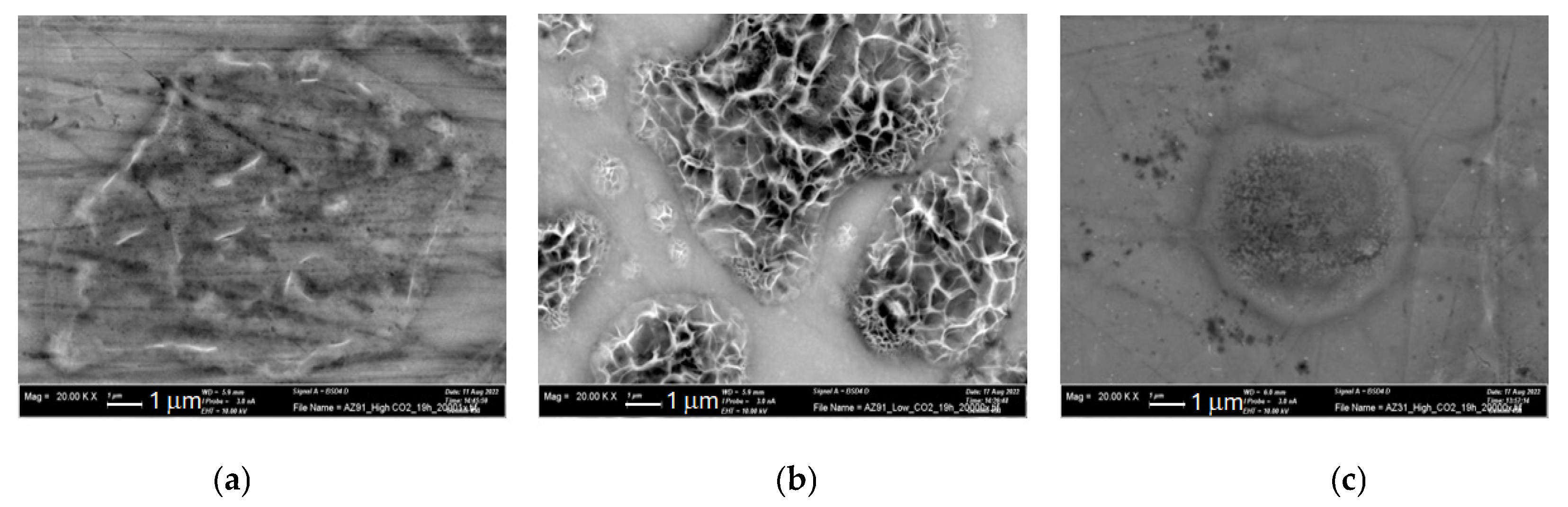 Preprints 176968 g011