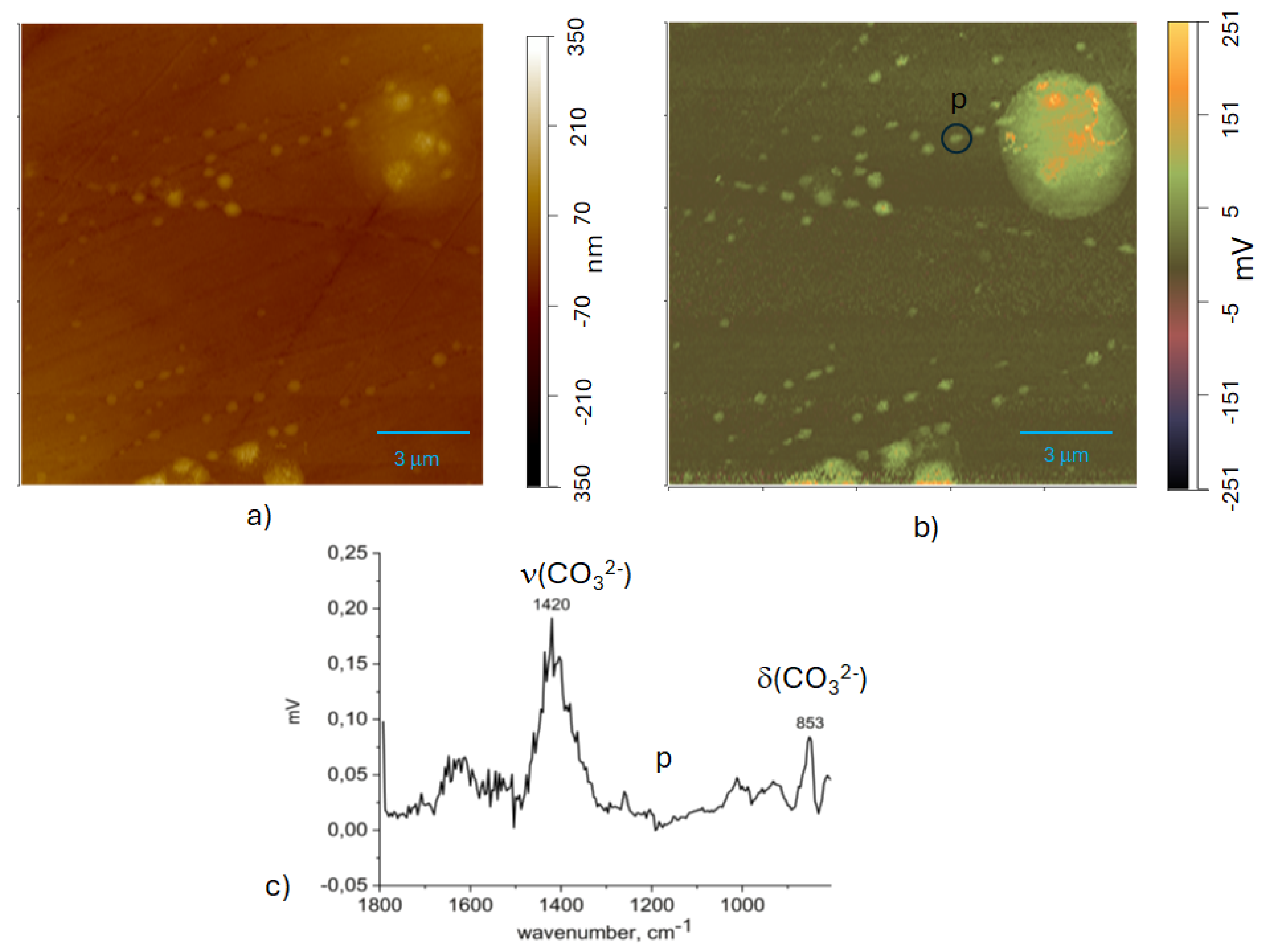 Preprints 176968 g014