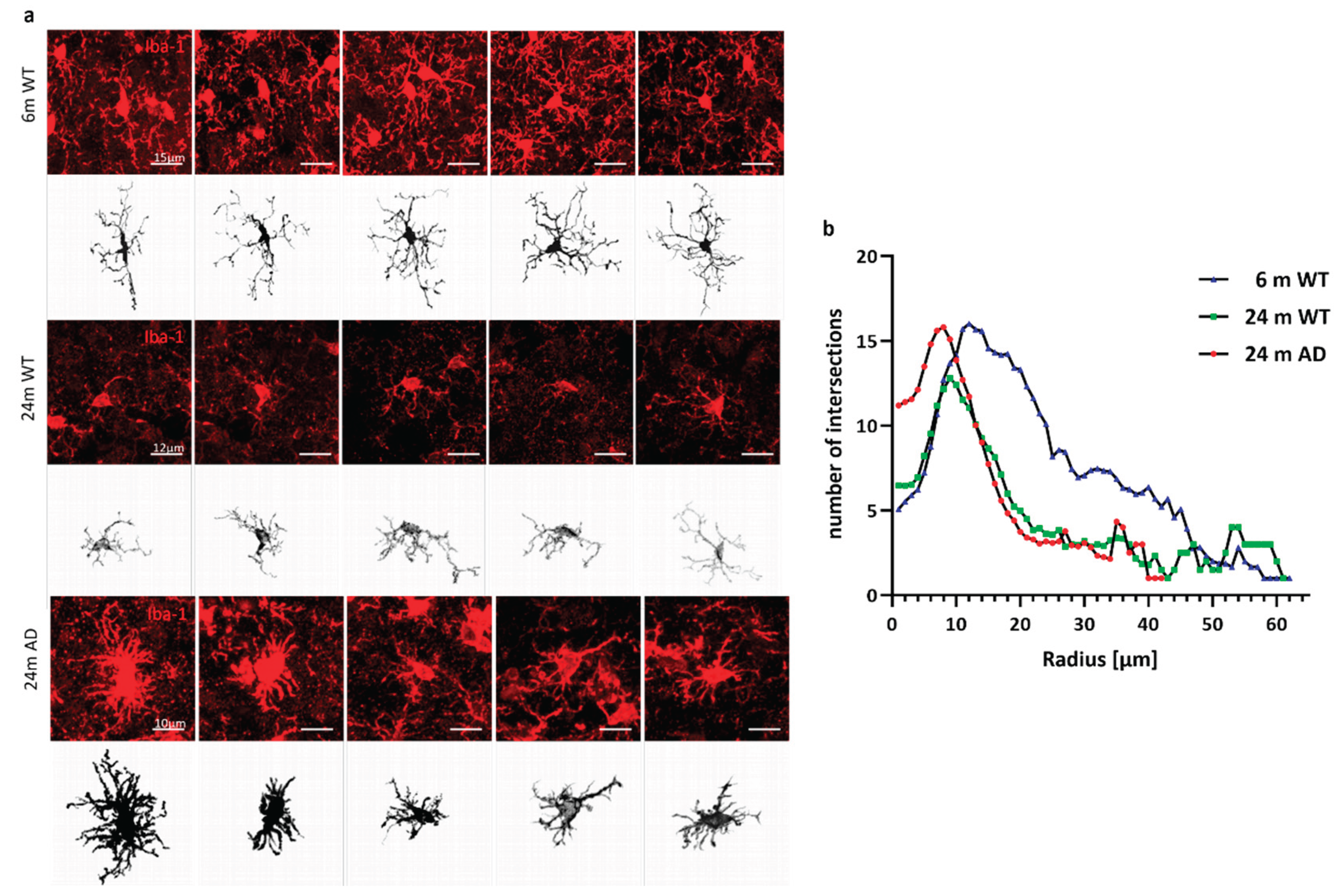 Preprints 188680 g003