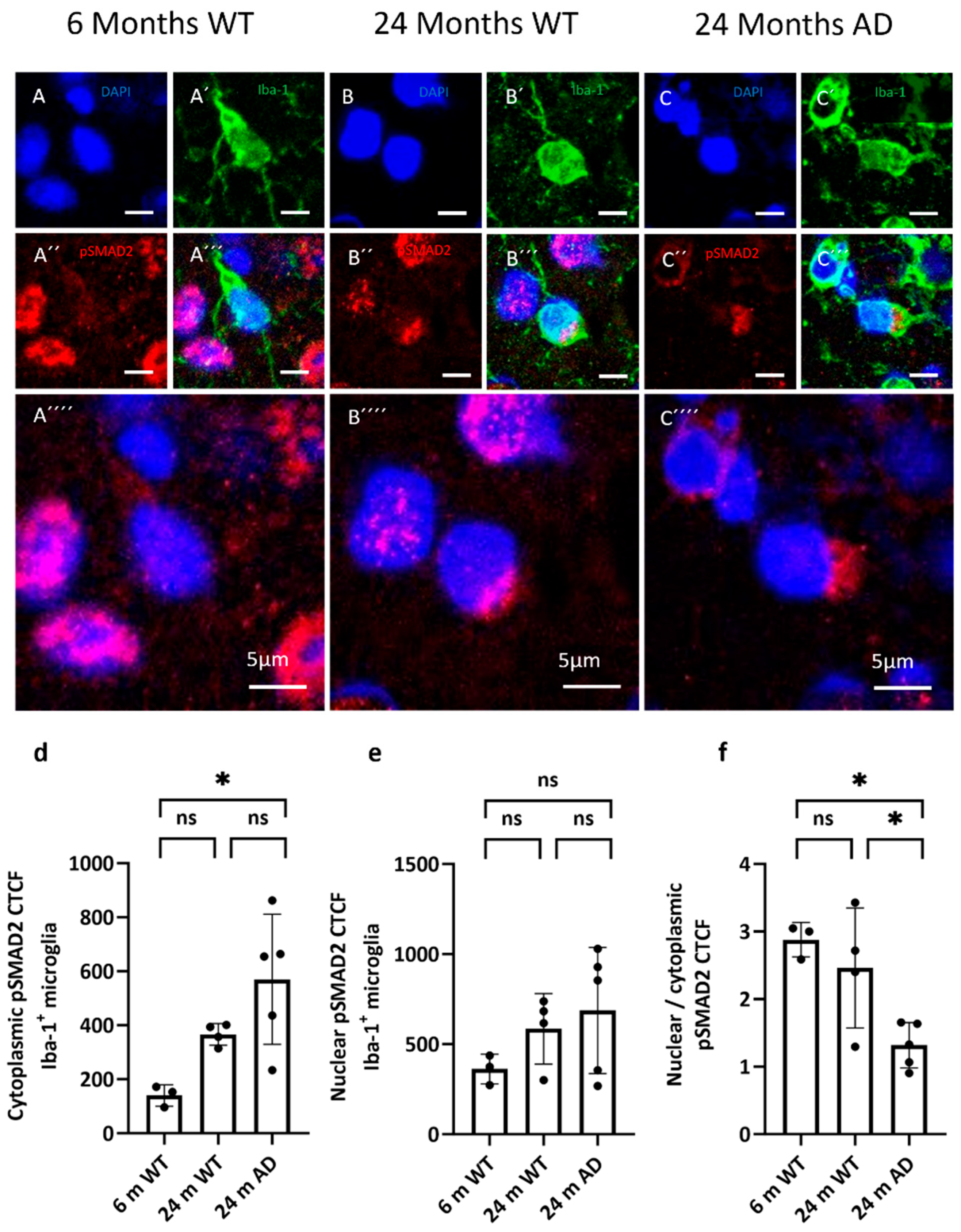 Preprints 188680 g006