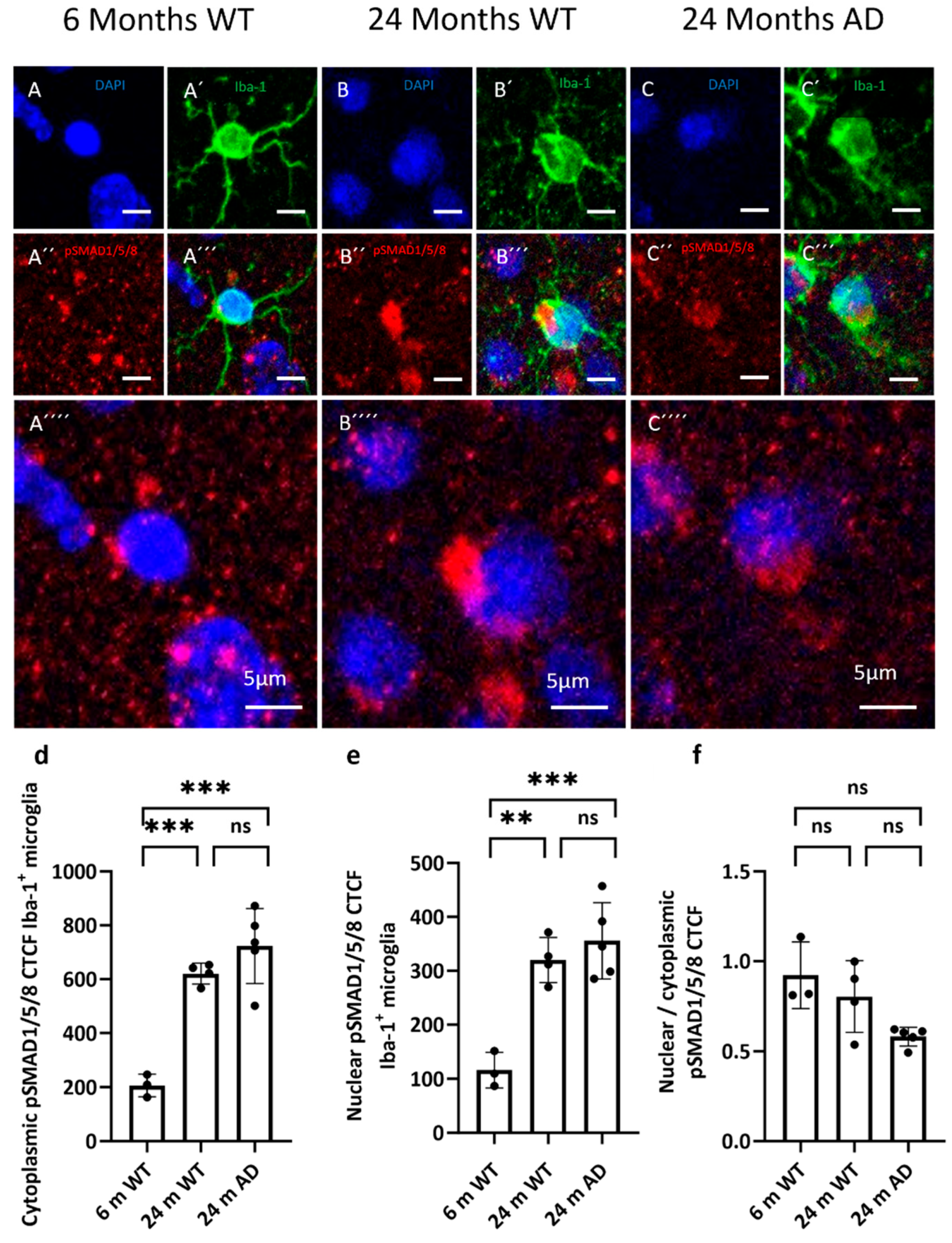 Preprints 188680 g007