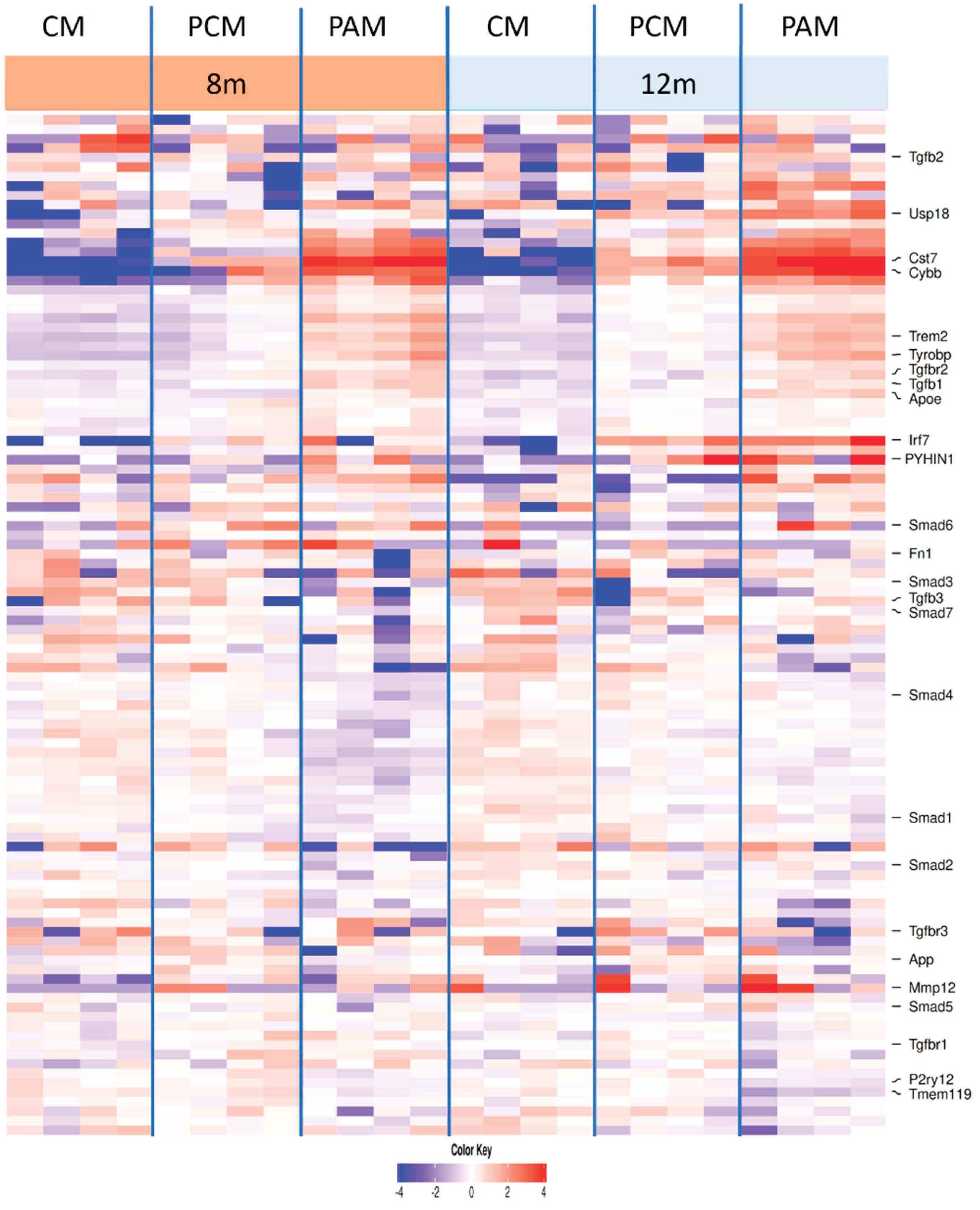 Preprints 188680 g008