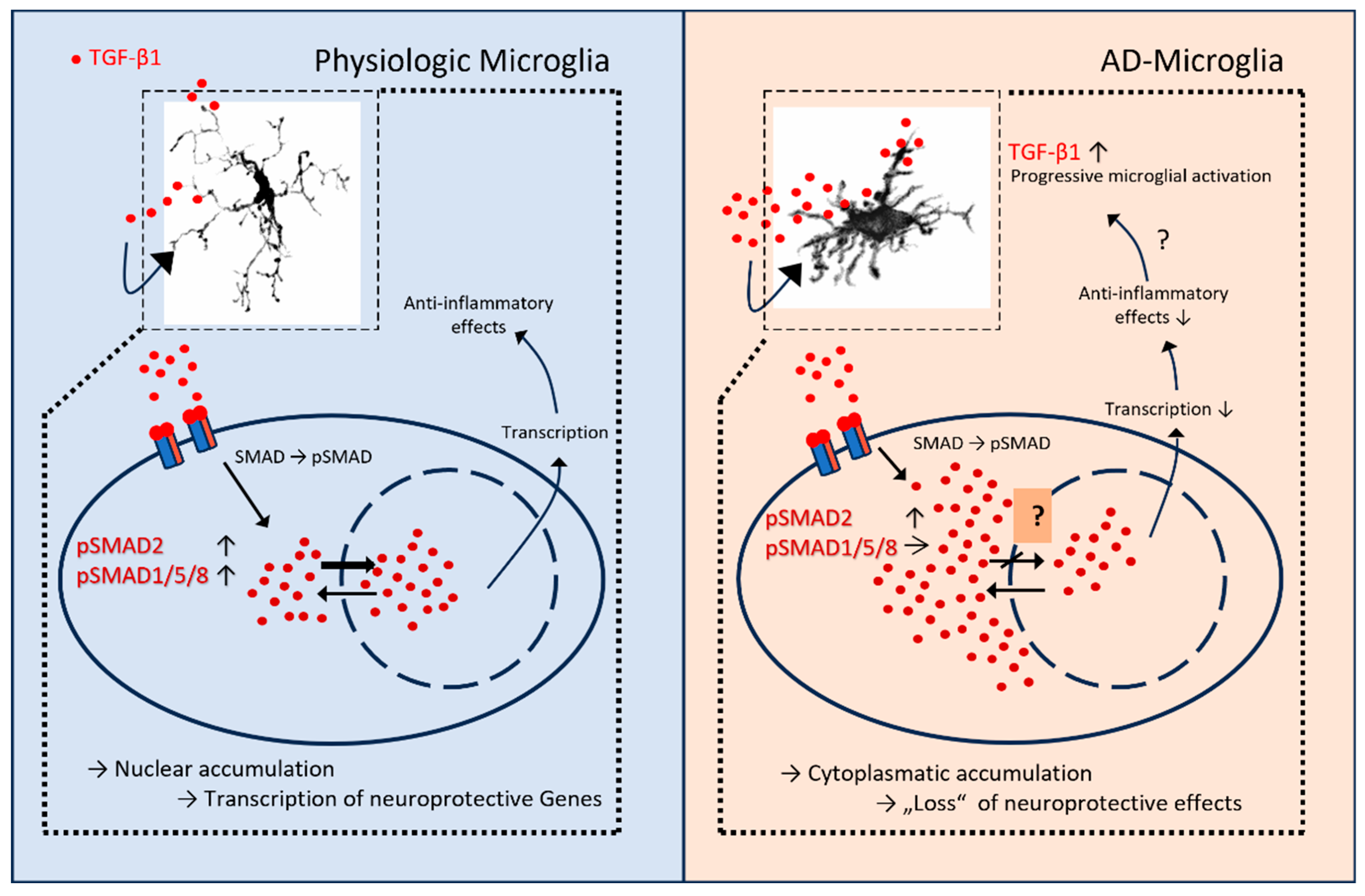 Preprints 188680 g009