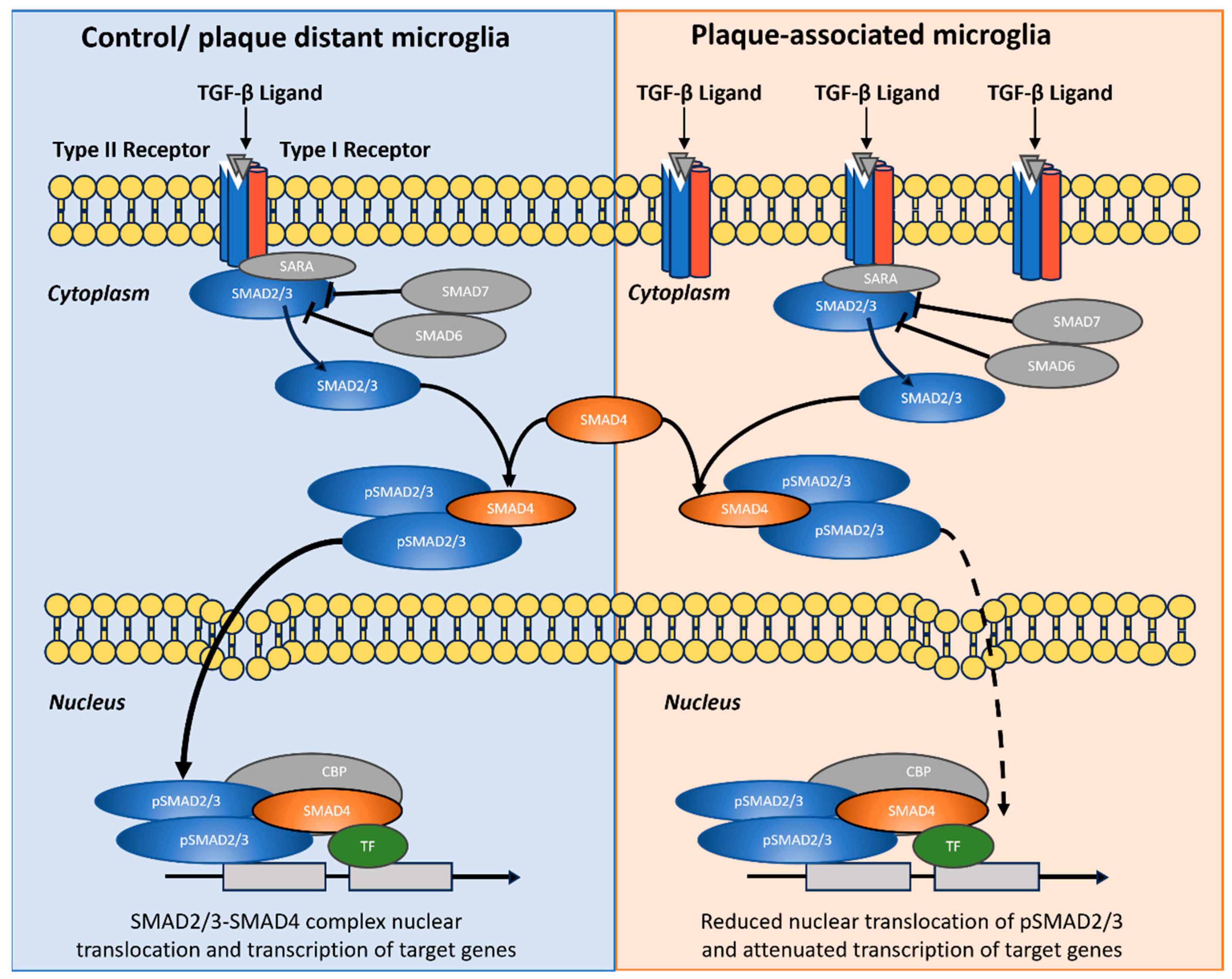 Preprints 188680 g010