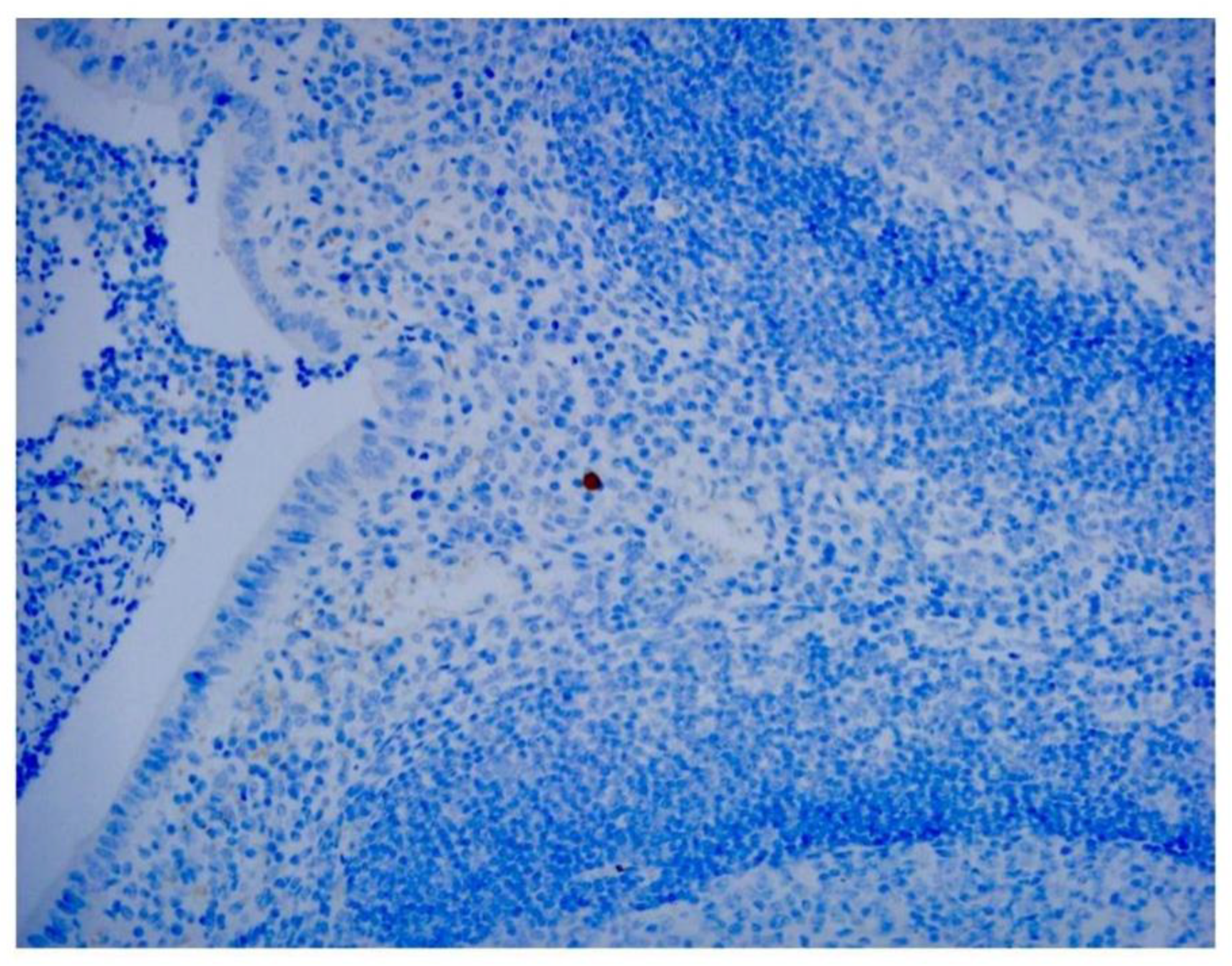 Preprints 145380 g001