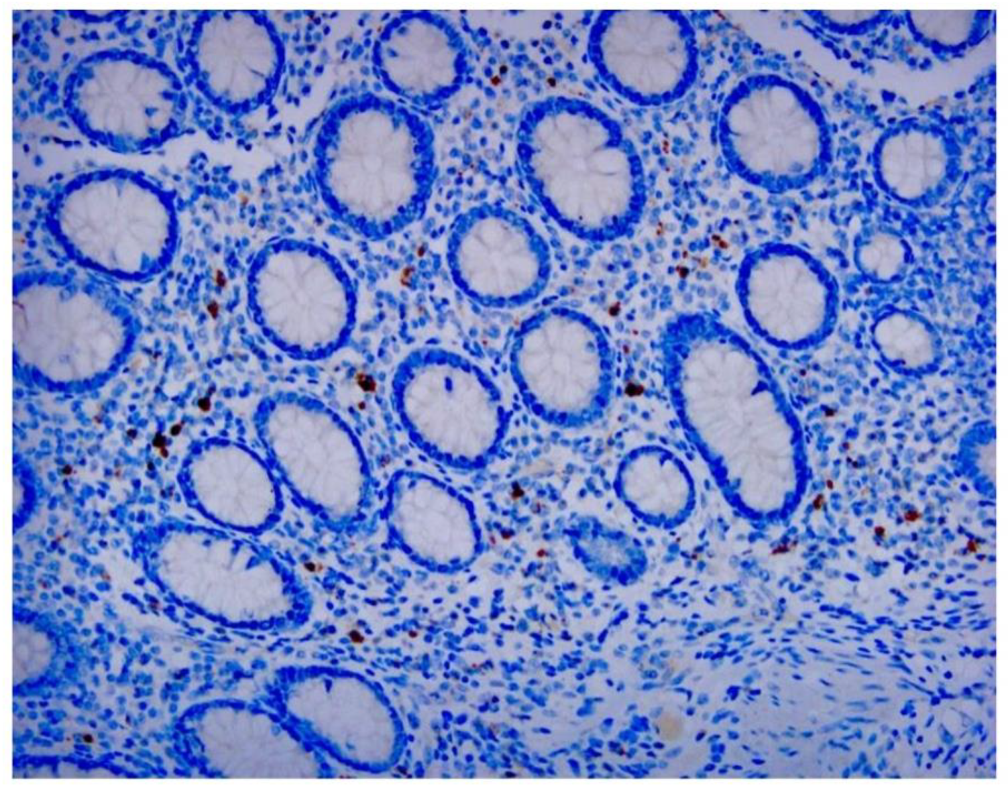 Preprints 145380 g002