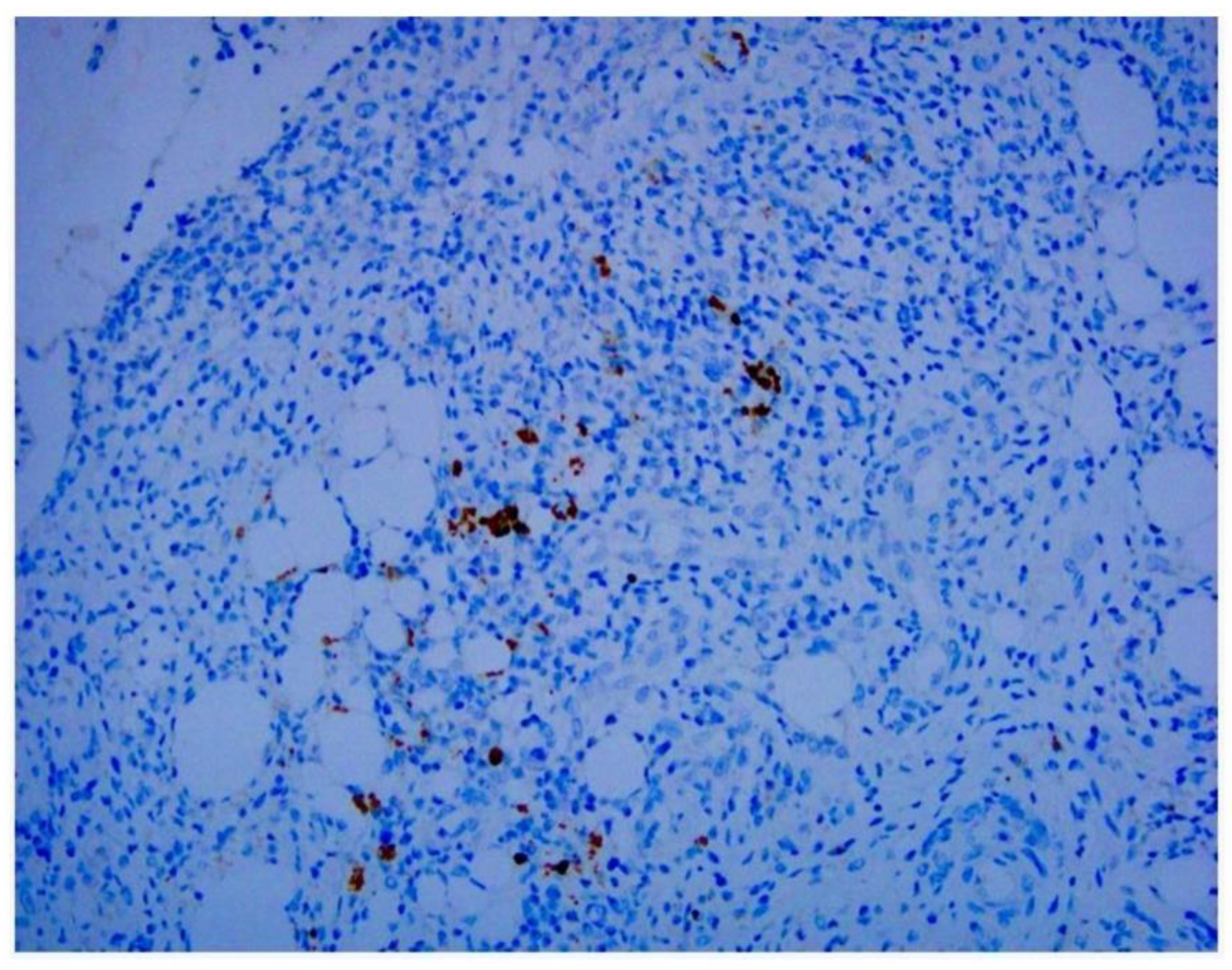 Preprints 145380 g003