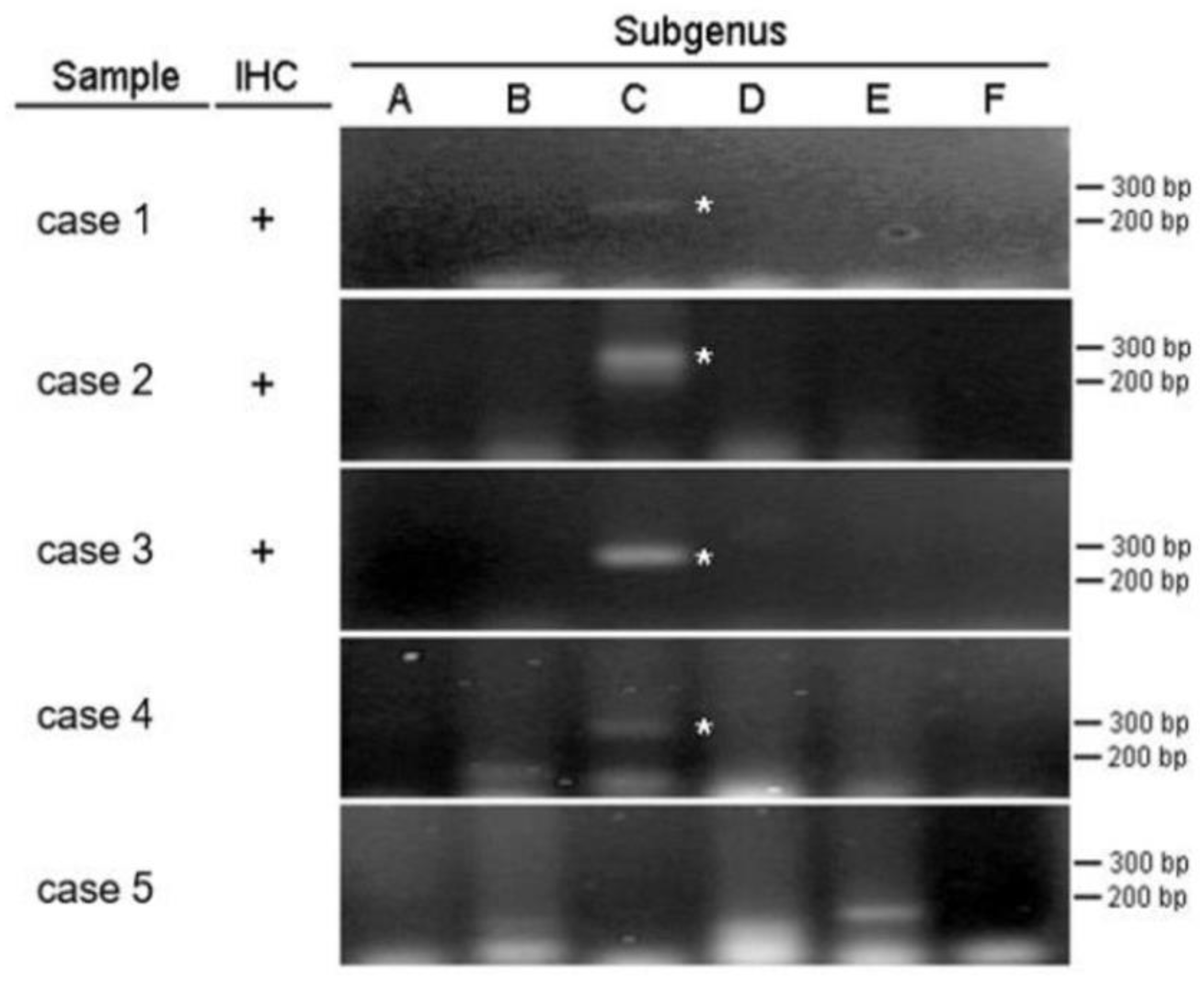 Preprints 145380 g005