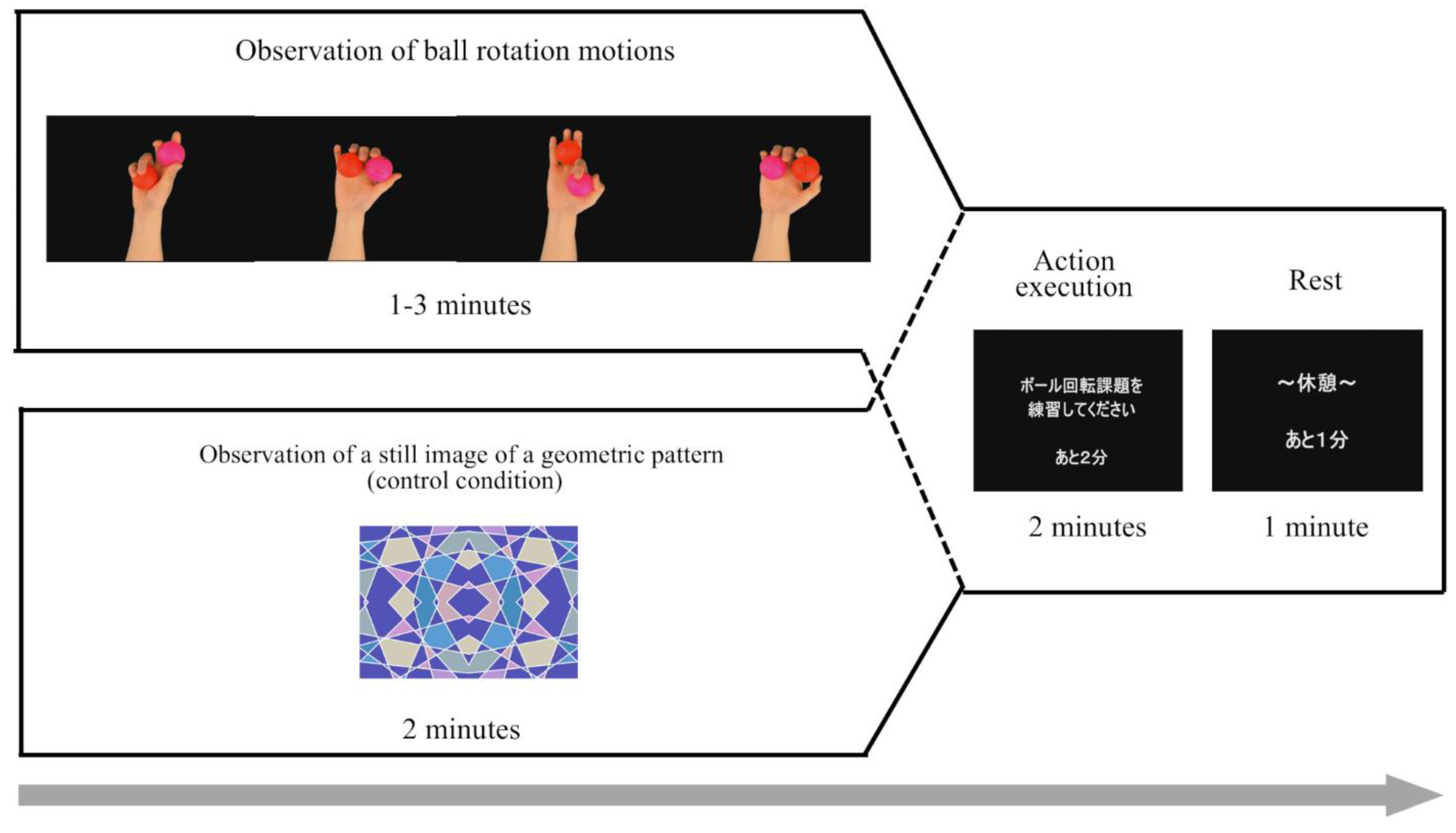 Preprints 154354 g002