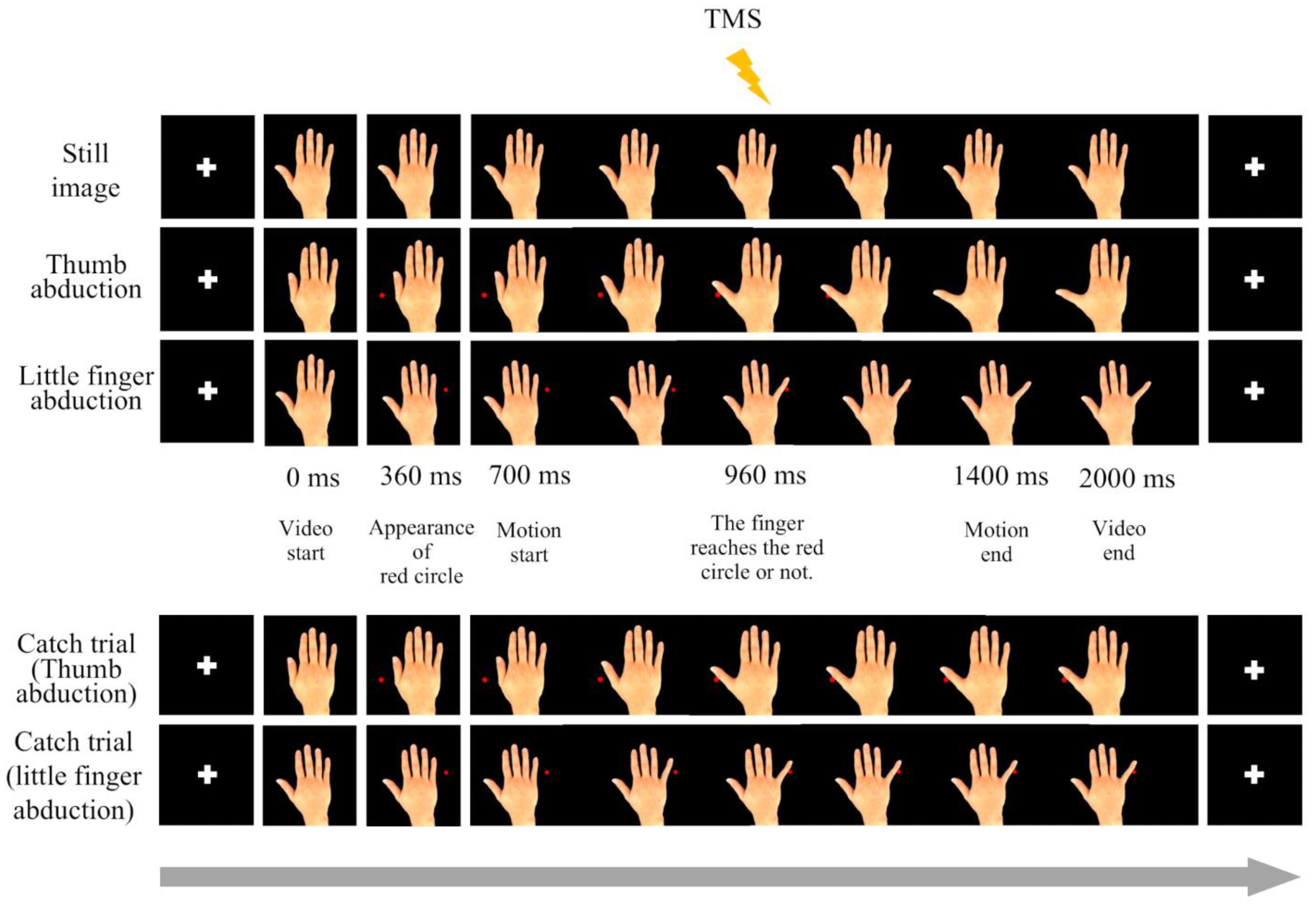 Preprints 154354 g003